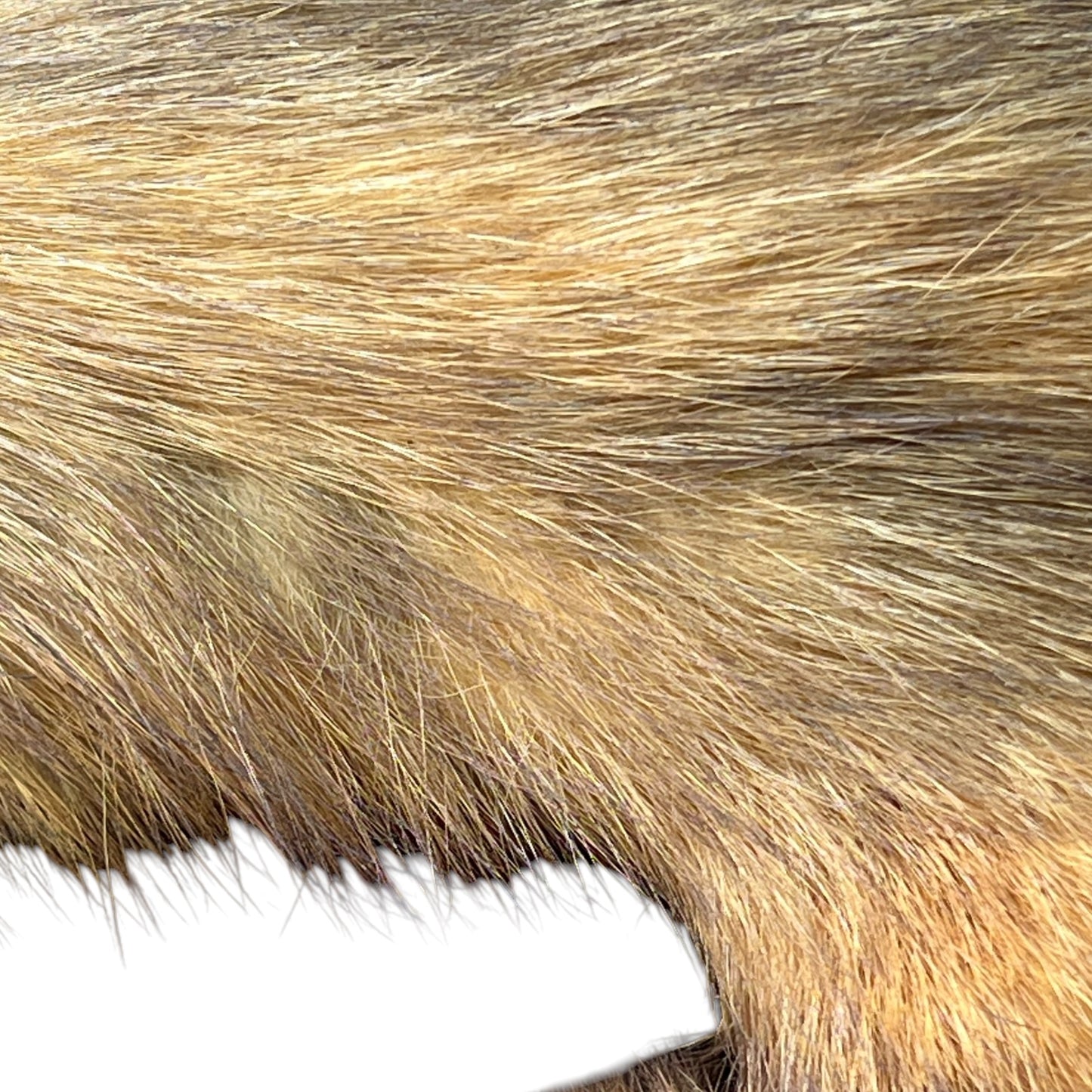 taxidermy mink tail