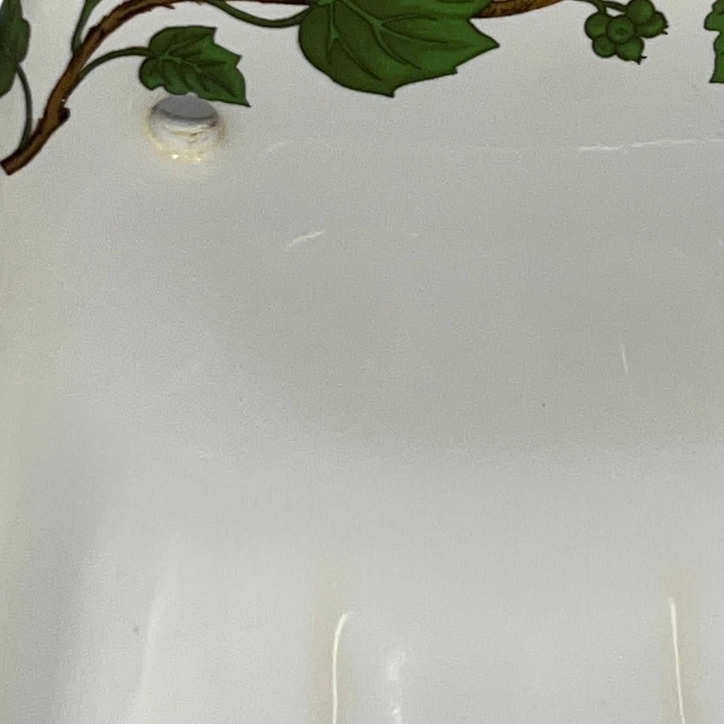 Porcelain bathroom soap dish featuring green leaf patterns on a white background