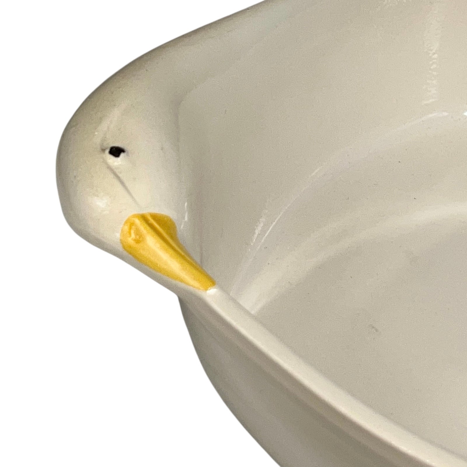 close up of goose dish