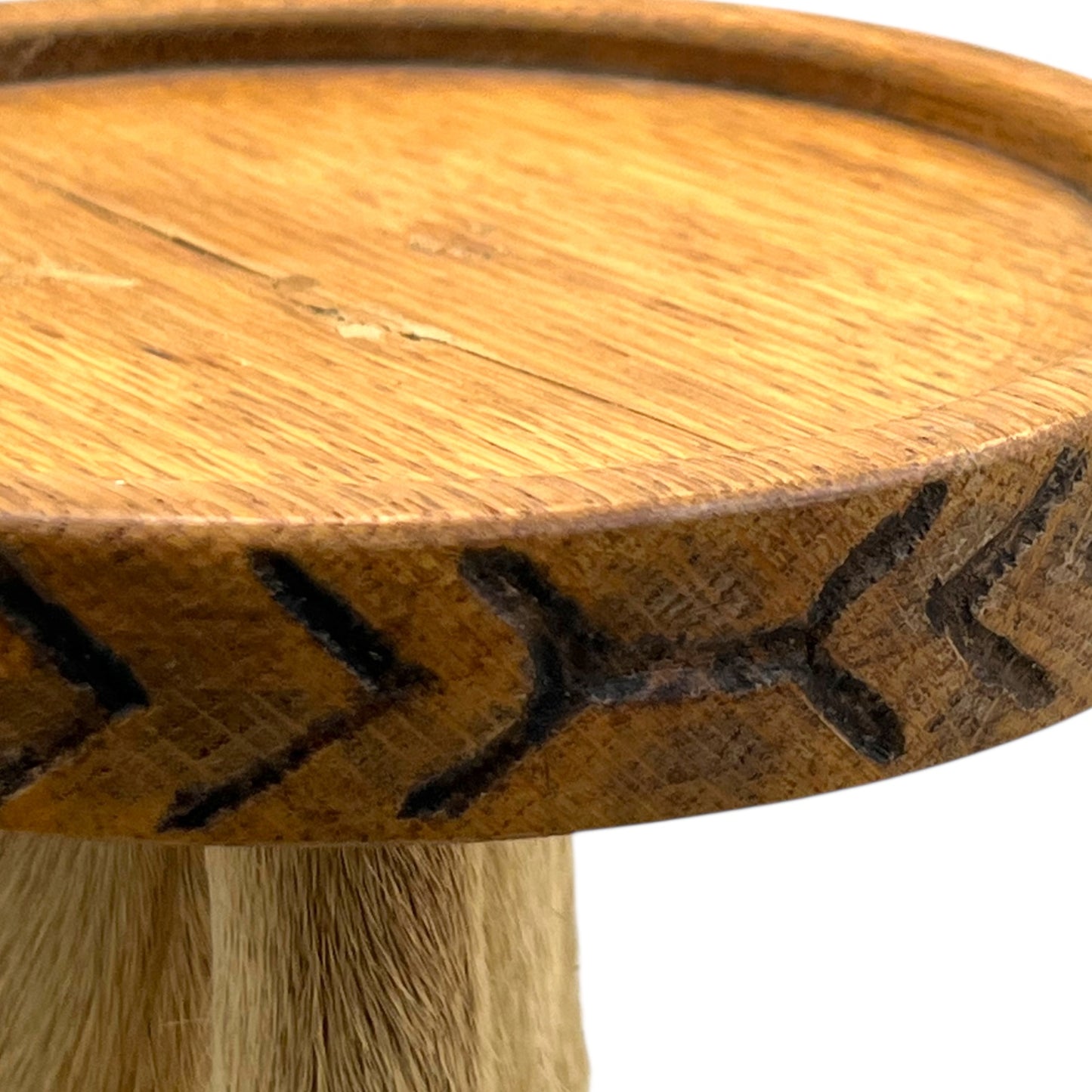 close up image of taxidermy stand top edge