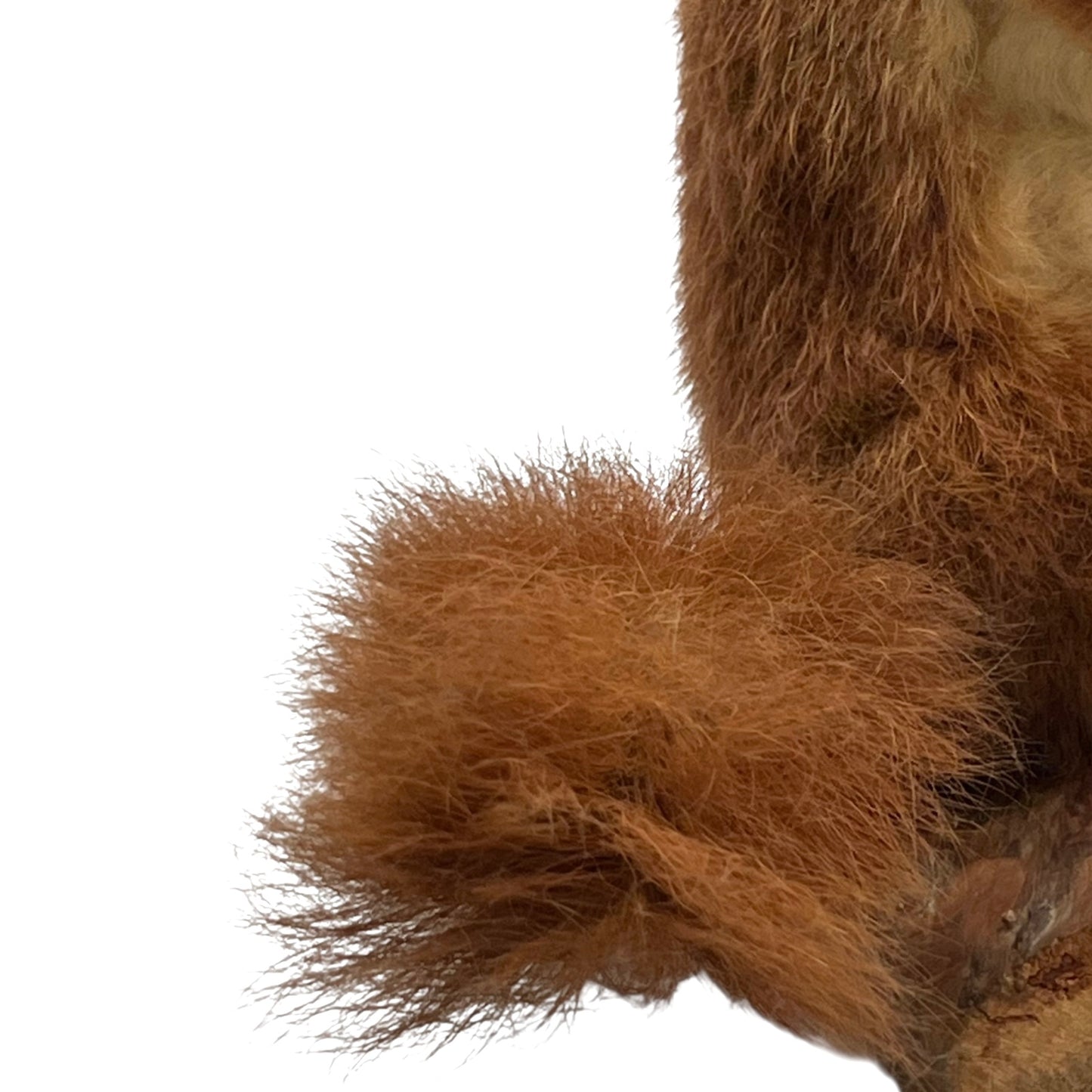 Close-up of a brown furry animal toy on a white background