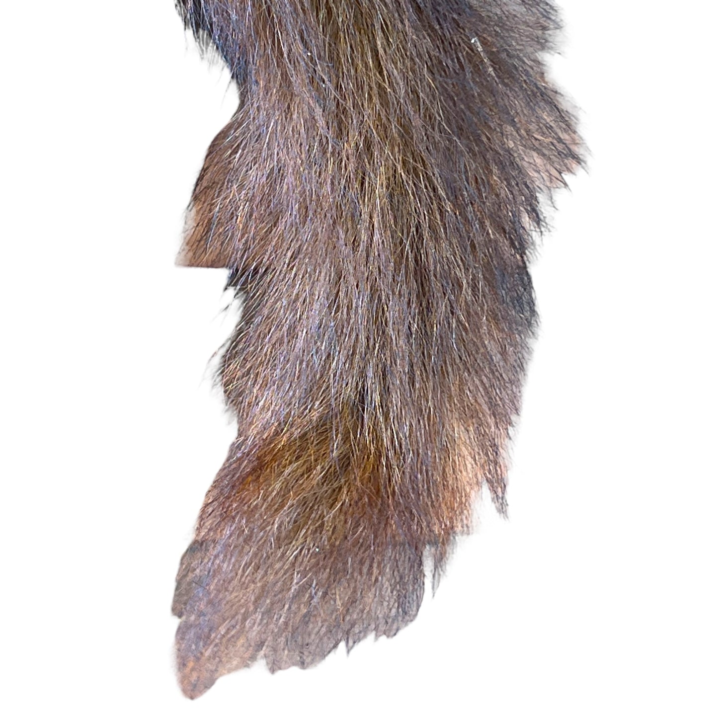 taxidermy mink tail