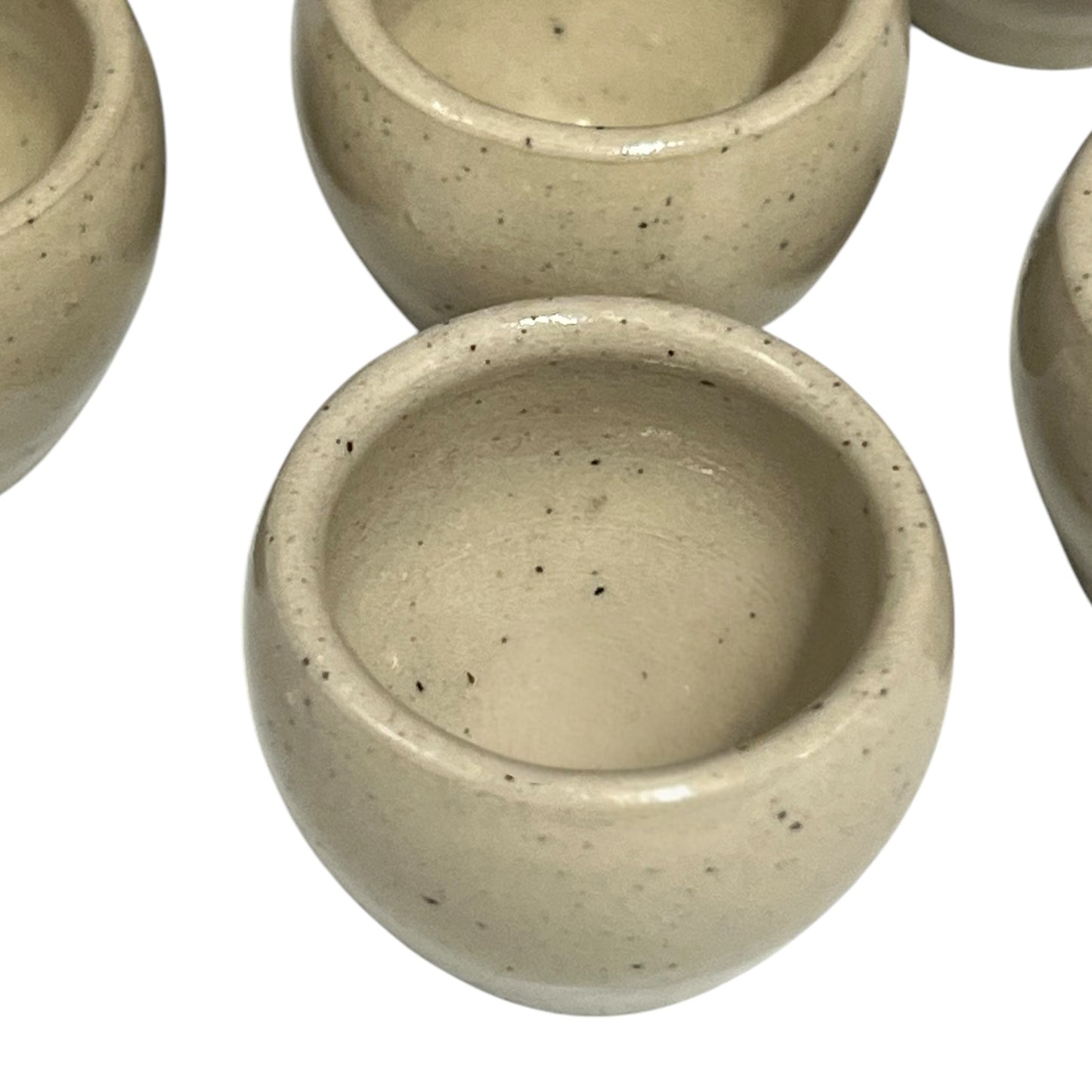 snail cups