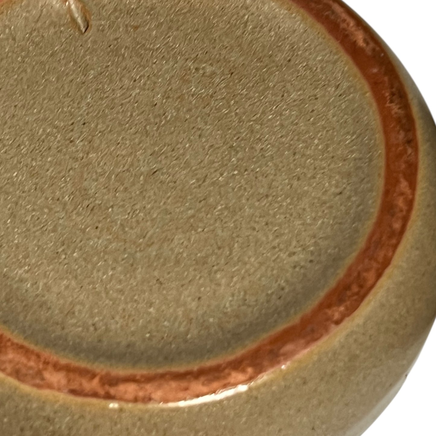 back of snail plate