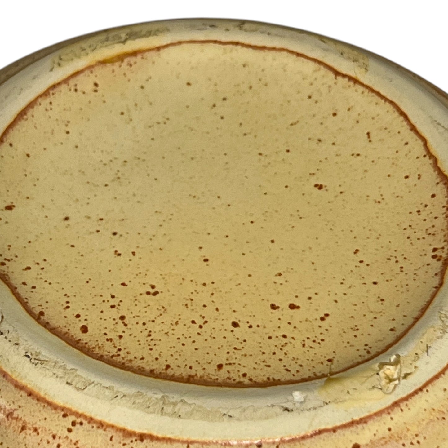 Close-up of a ceramic jar with embossed design on a white background