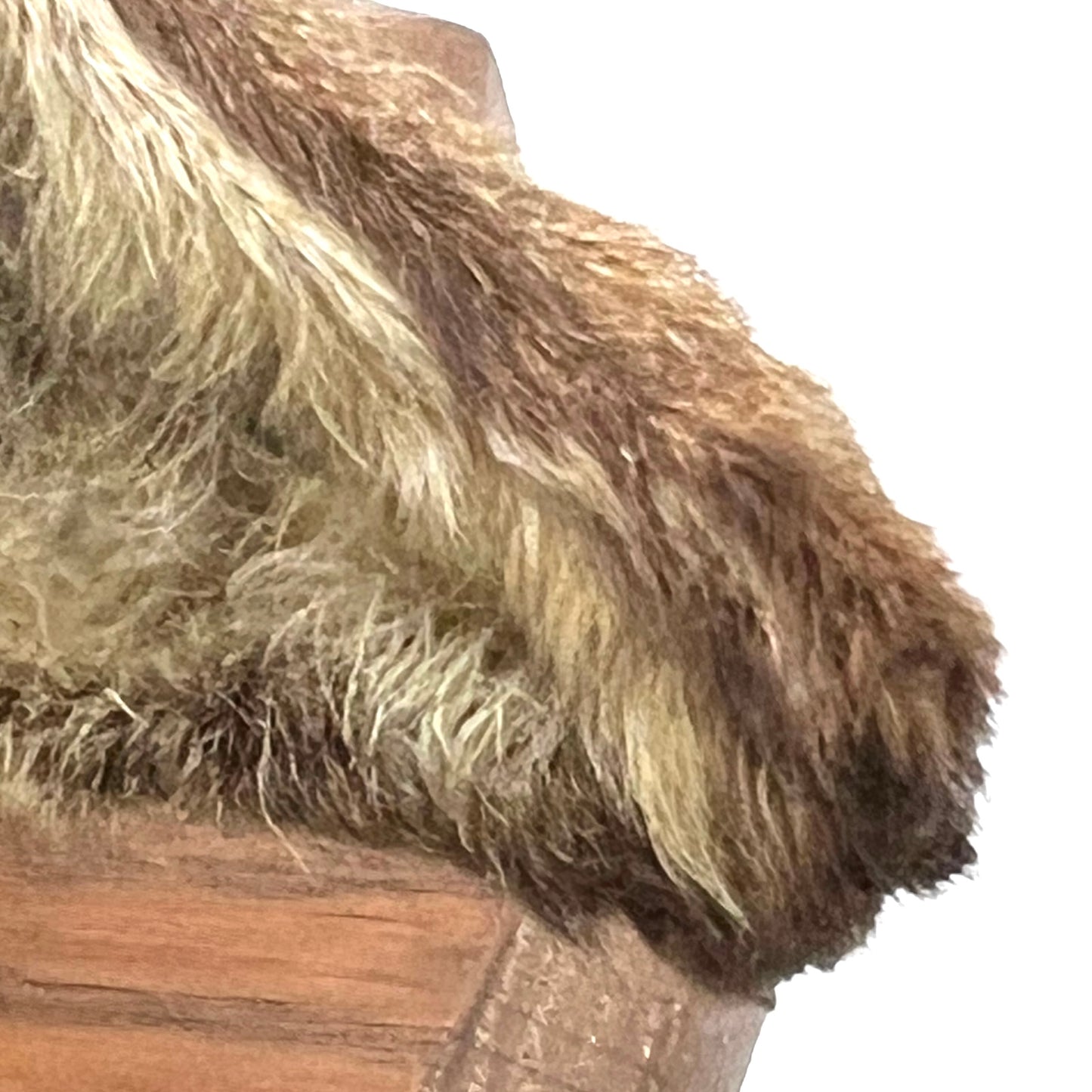 close up of taxidermy ear