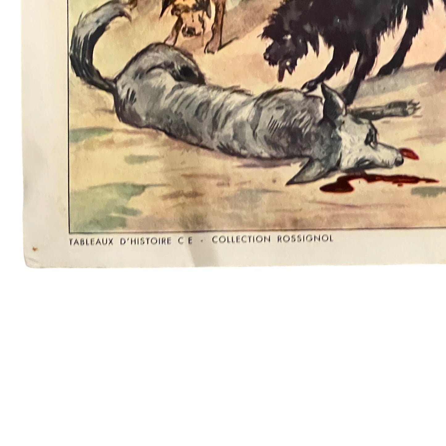 Vintage French Double-Sided School Poster – Siege of La Rochelle Teaching Aid