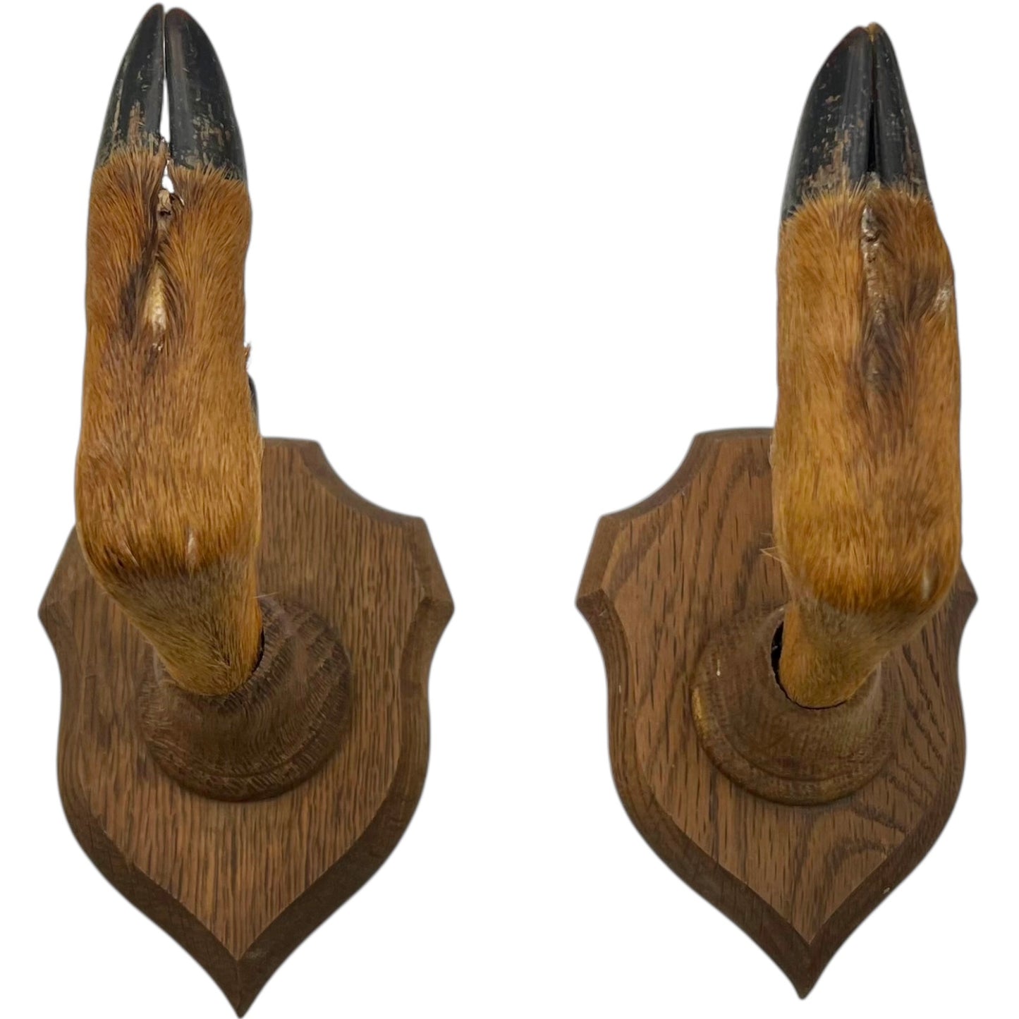 Two wooden wall-mounted deer hooves decorations on a plain wall.