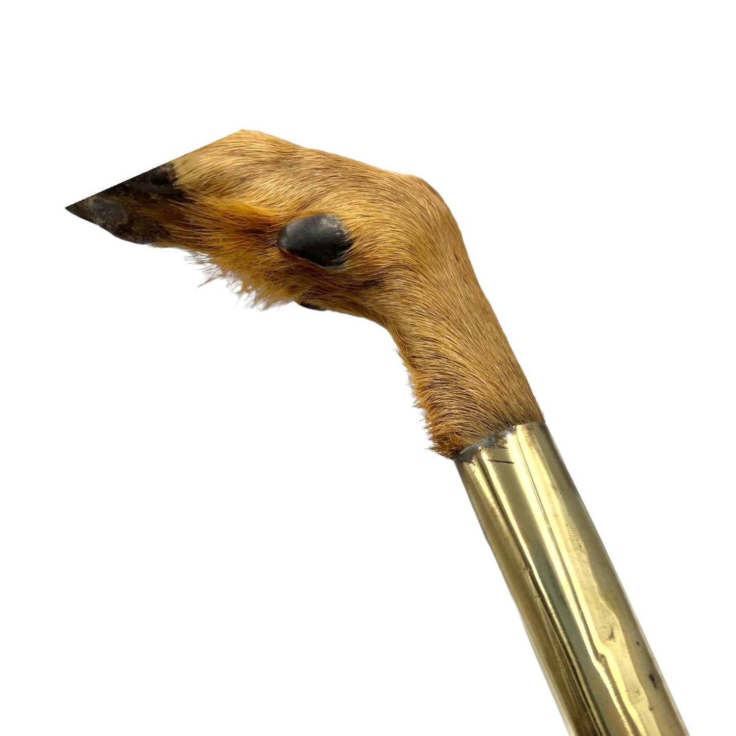 French vintage deer hoof handle bamboo walking cane stick