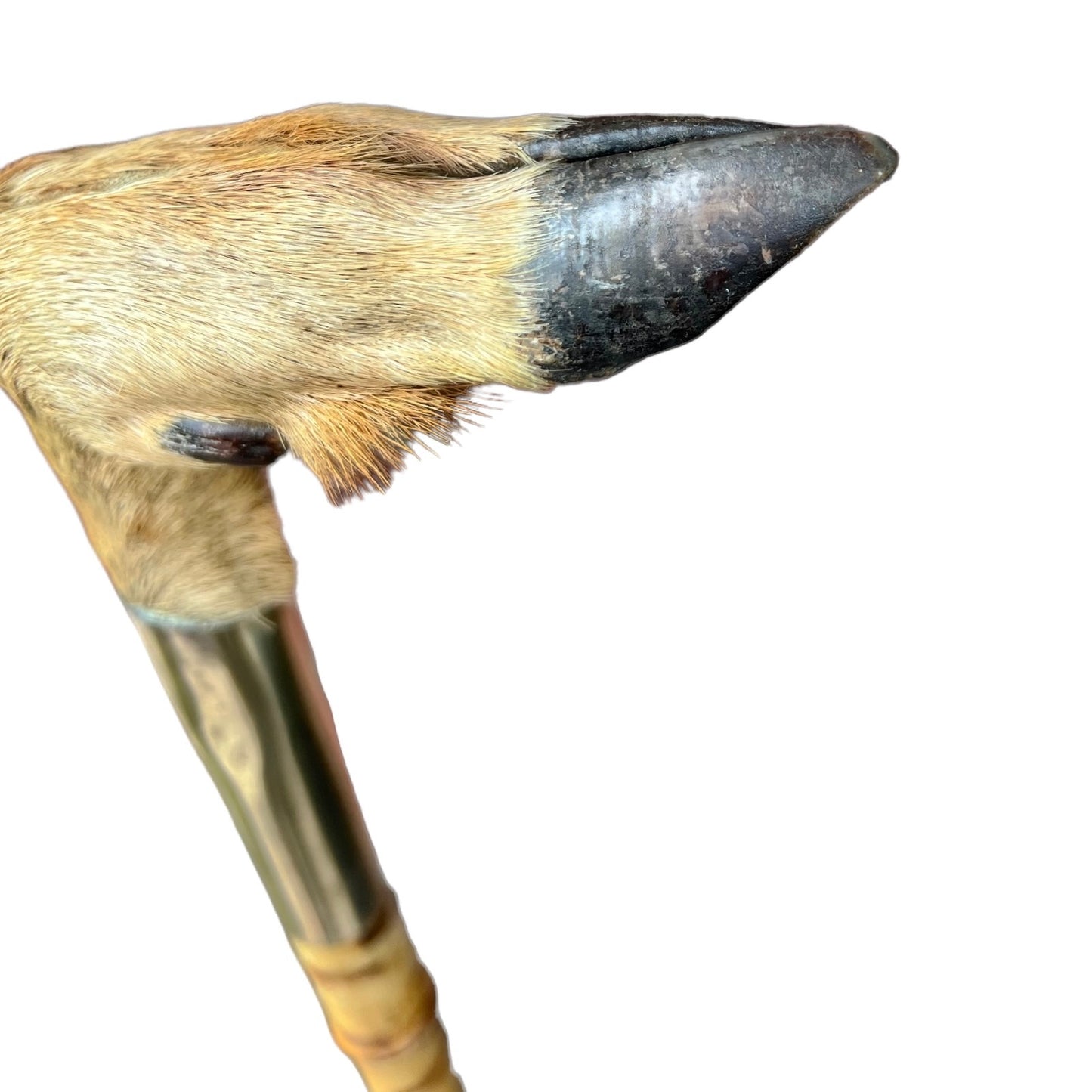 French vintage deer hoof handle bamboo walking cane stick