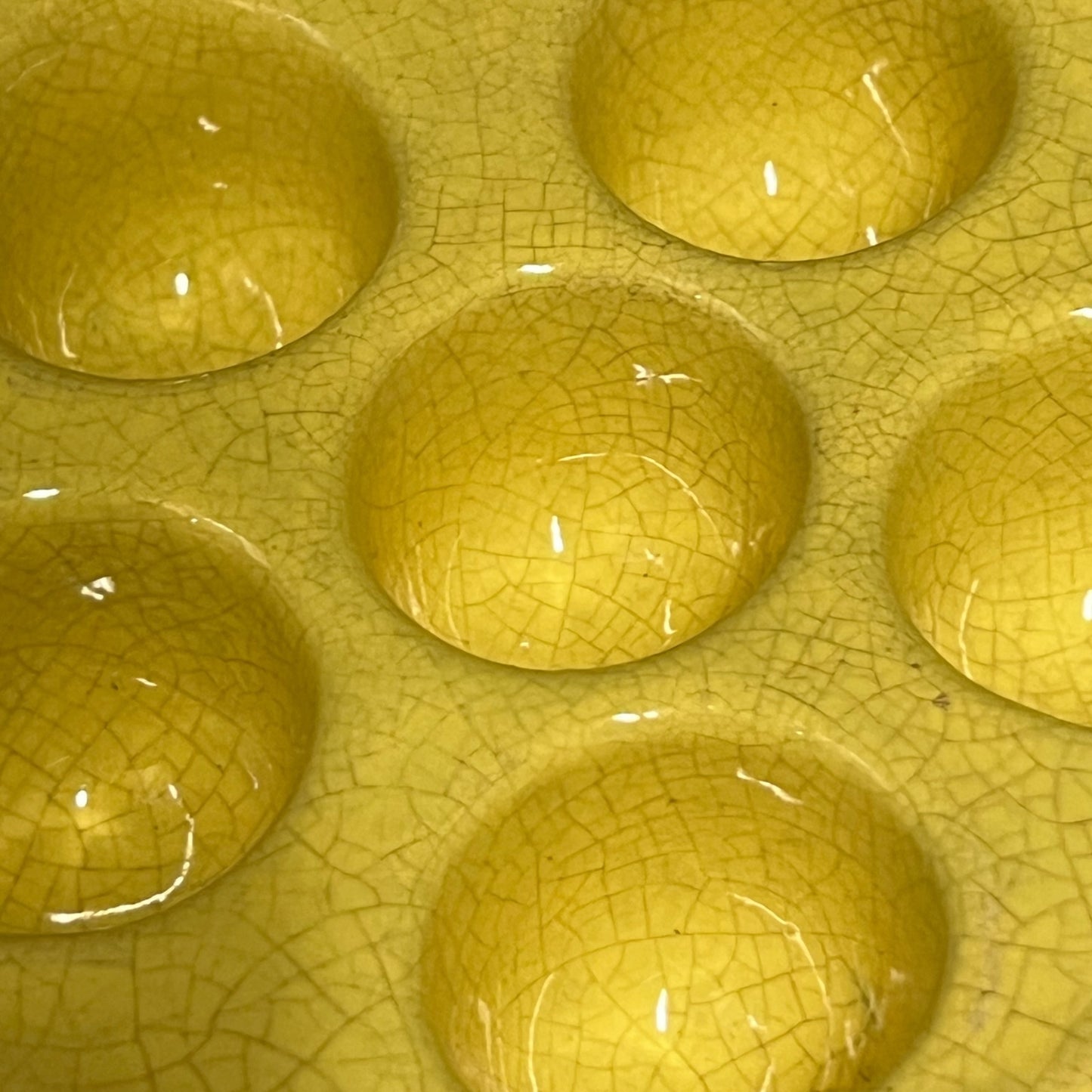 close up image of escargots plate