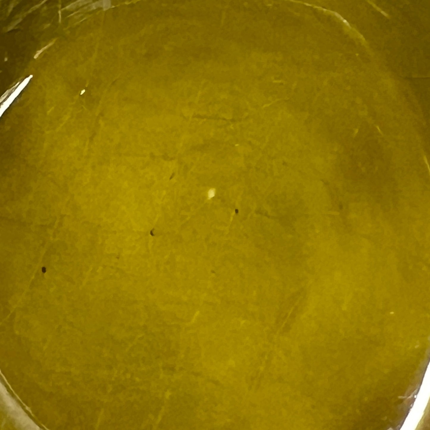 close up view on fondue plates