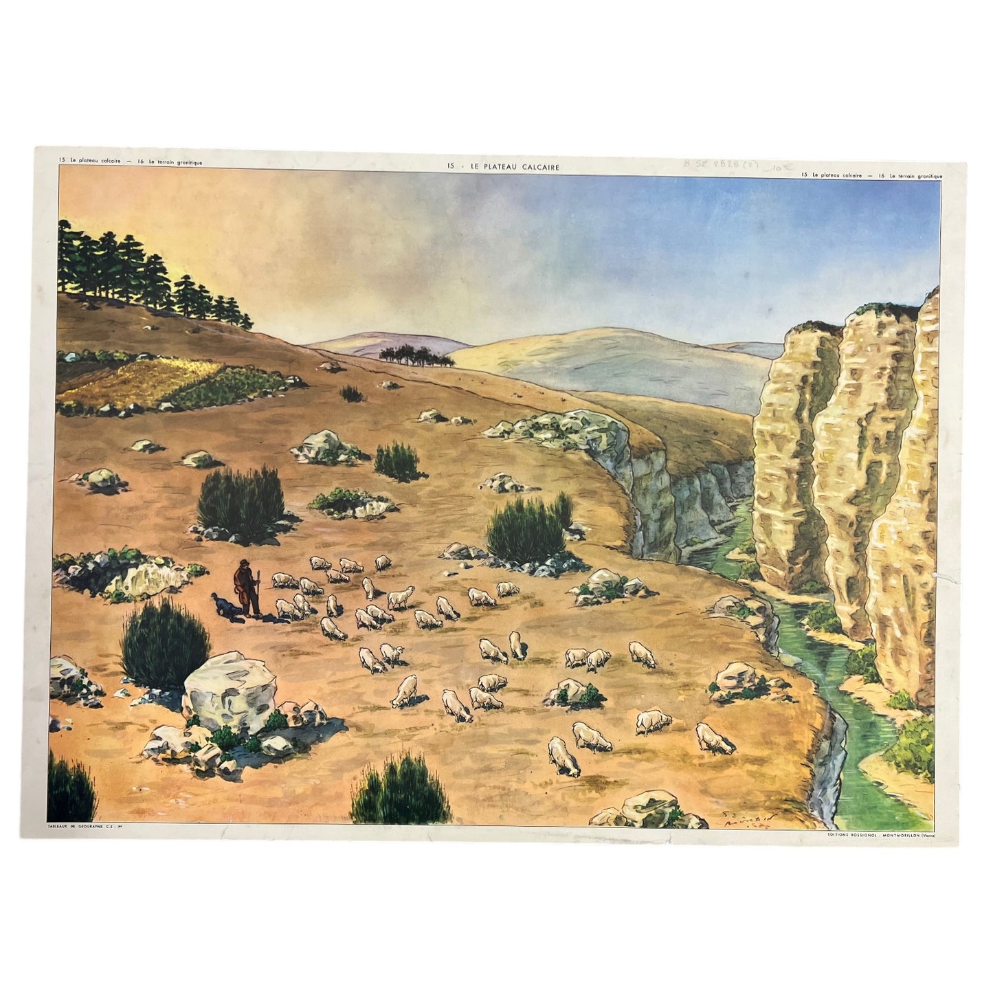 Vintage French Double Sided 1950s School Poster, Geographic Theme for sale from All Things French Store