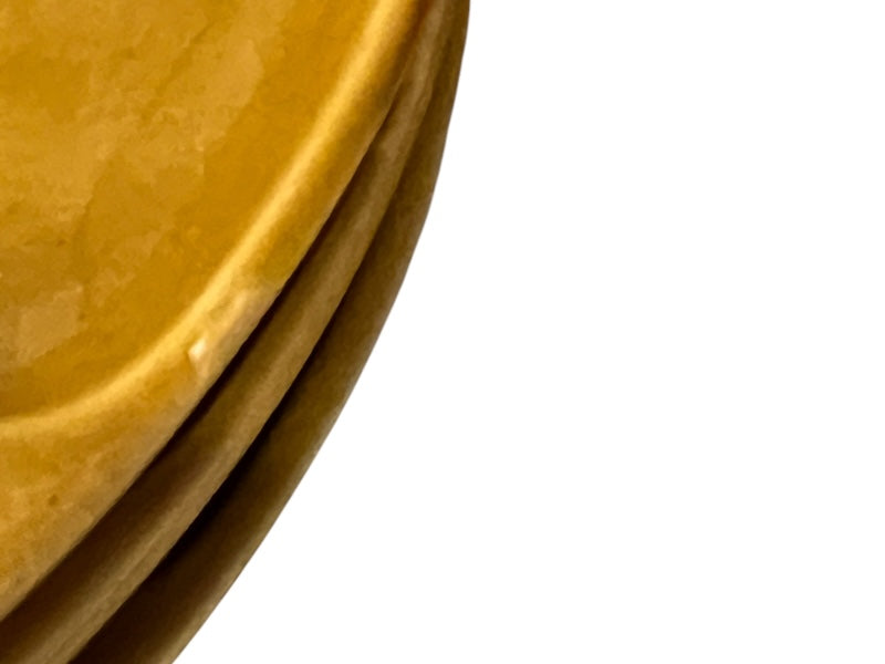 French Vintage Fondue Plates or BBQ Plates, Gien Sectioned Dinner Plates