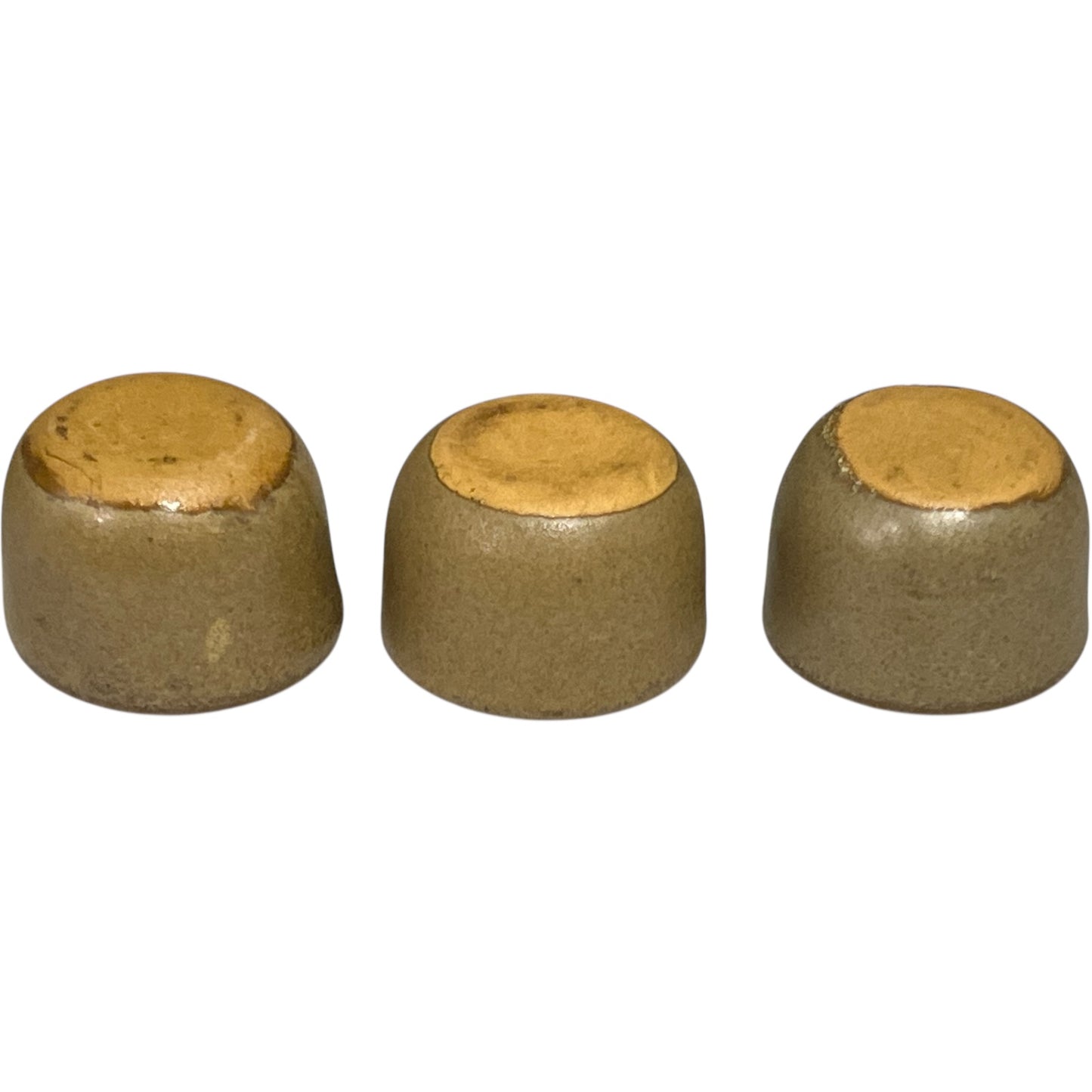 bases of snail cups