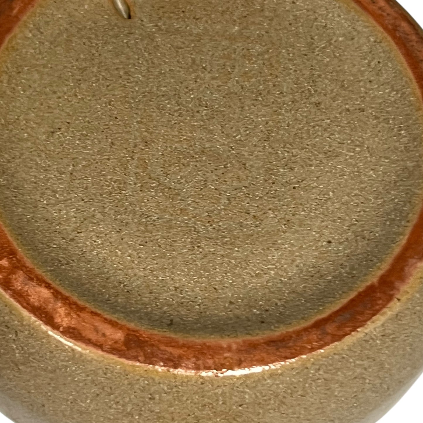 back of snail plate