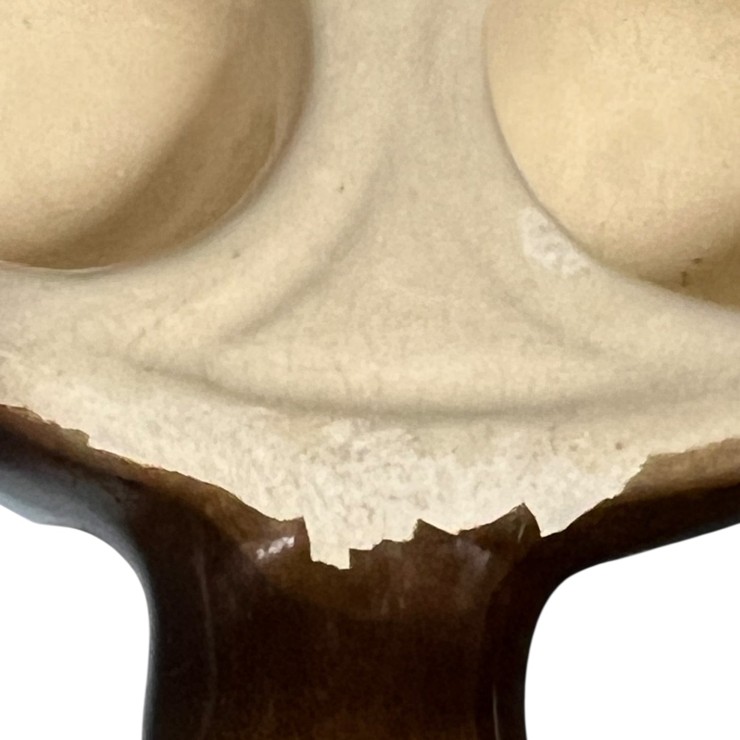 close up detail of French snail dish
