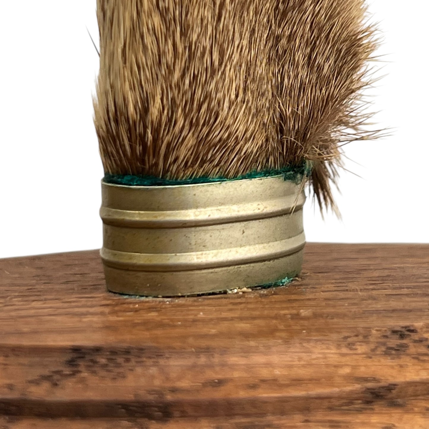 close up of a pair of wooden deer antler mounts with fur on a white background