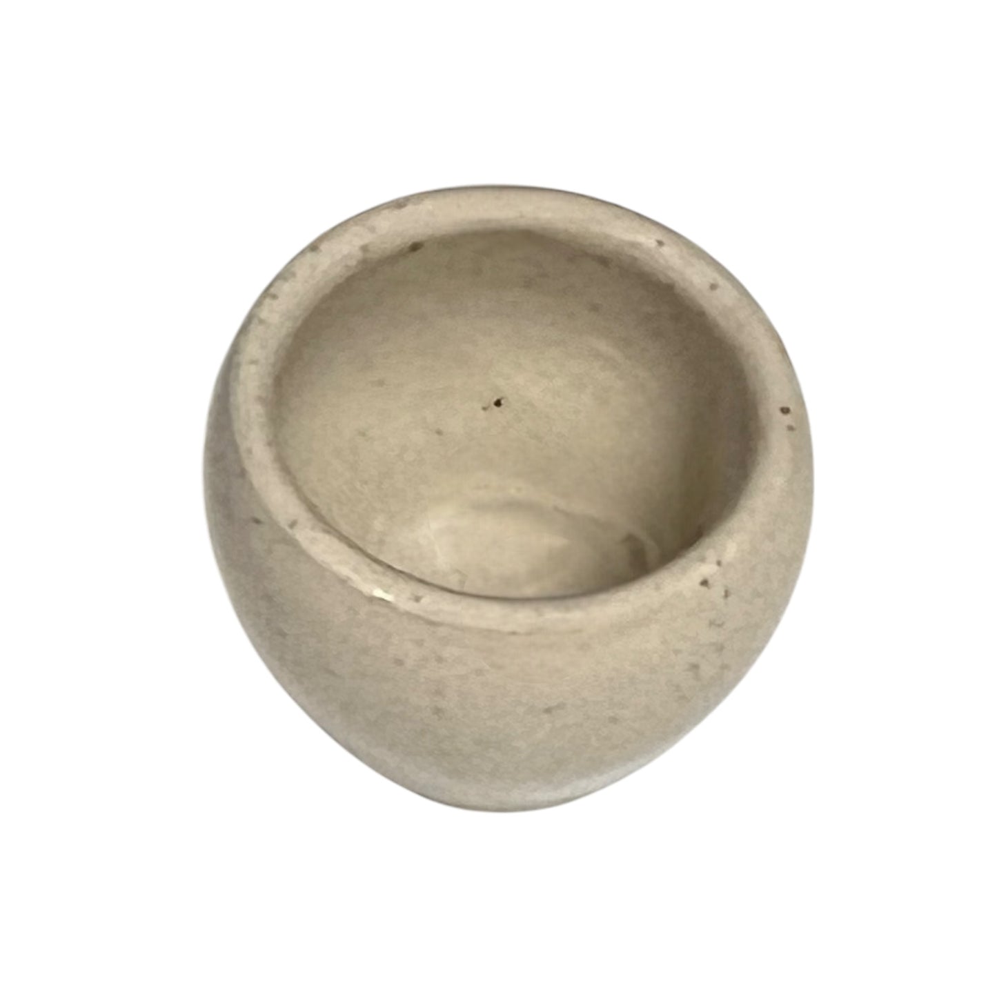 snail cups