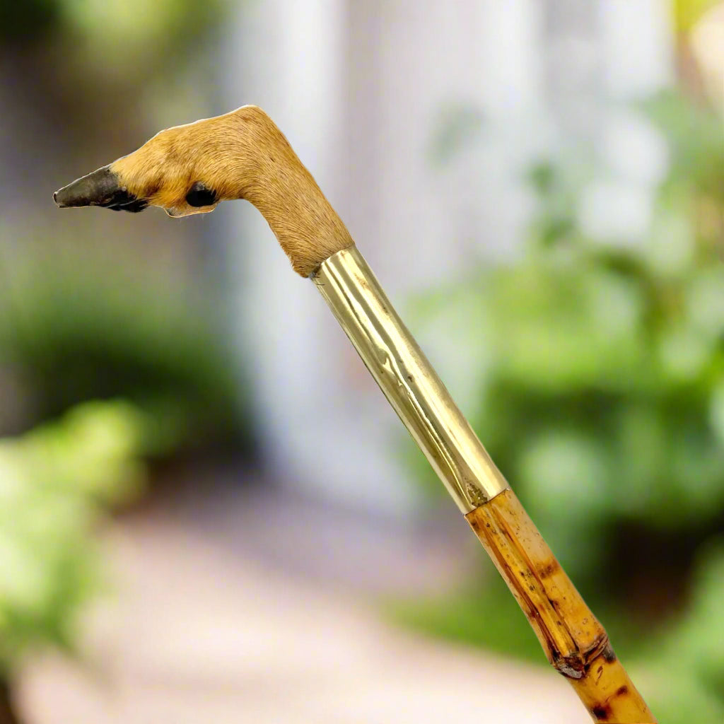 French vintage deer hoof handle bamboo walking cane stick