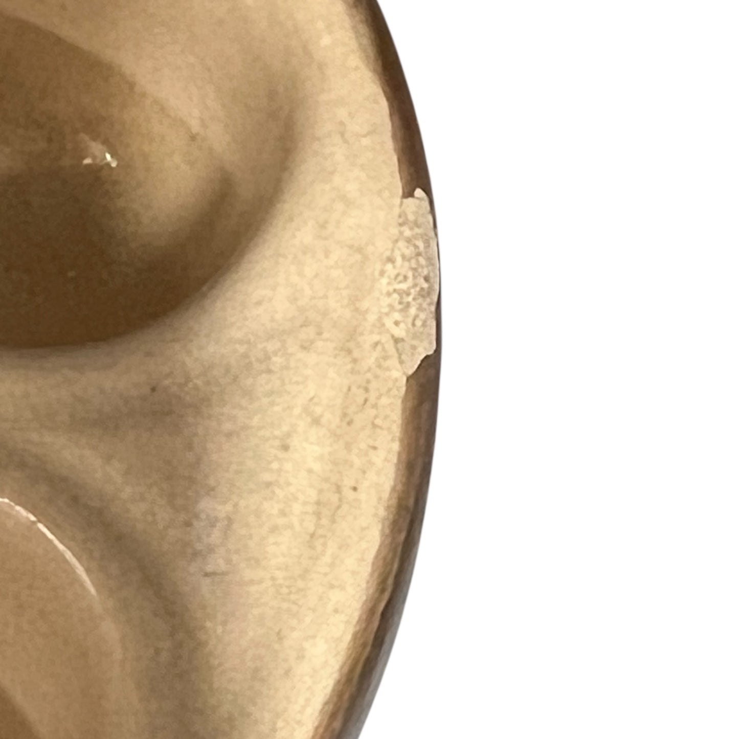 close up of French snail dish