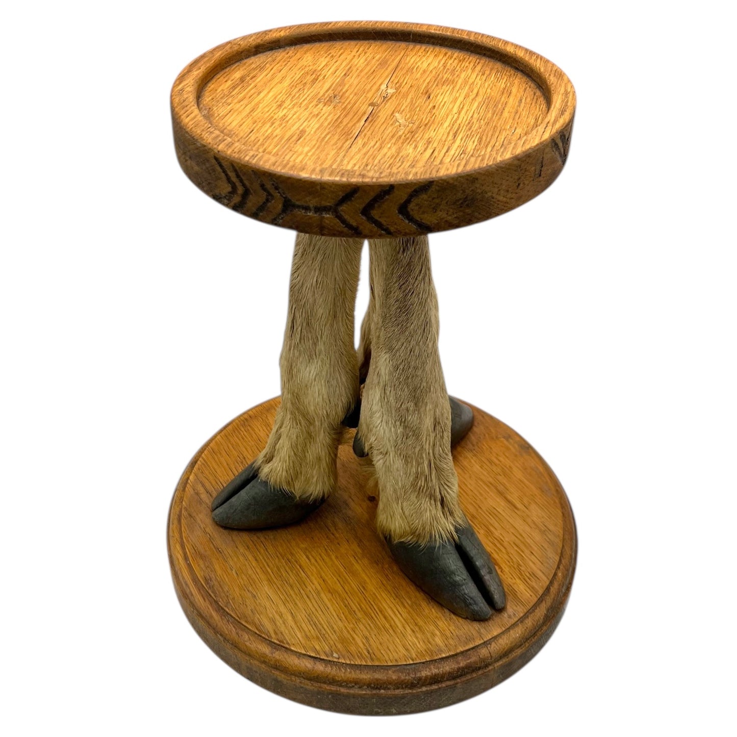 Taxidermy Deer Leg Plant Stand or Mini Side Table, French Vintage Specimen for sale from All Things French Store