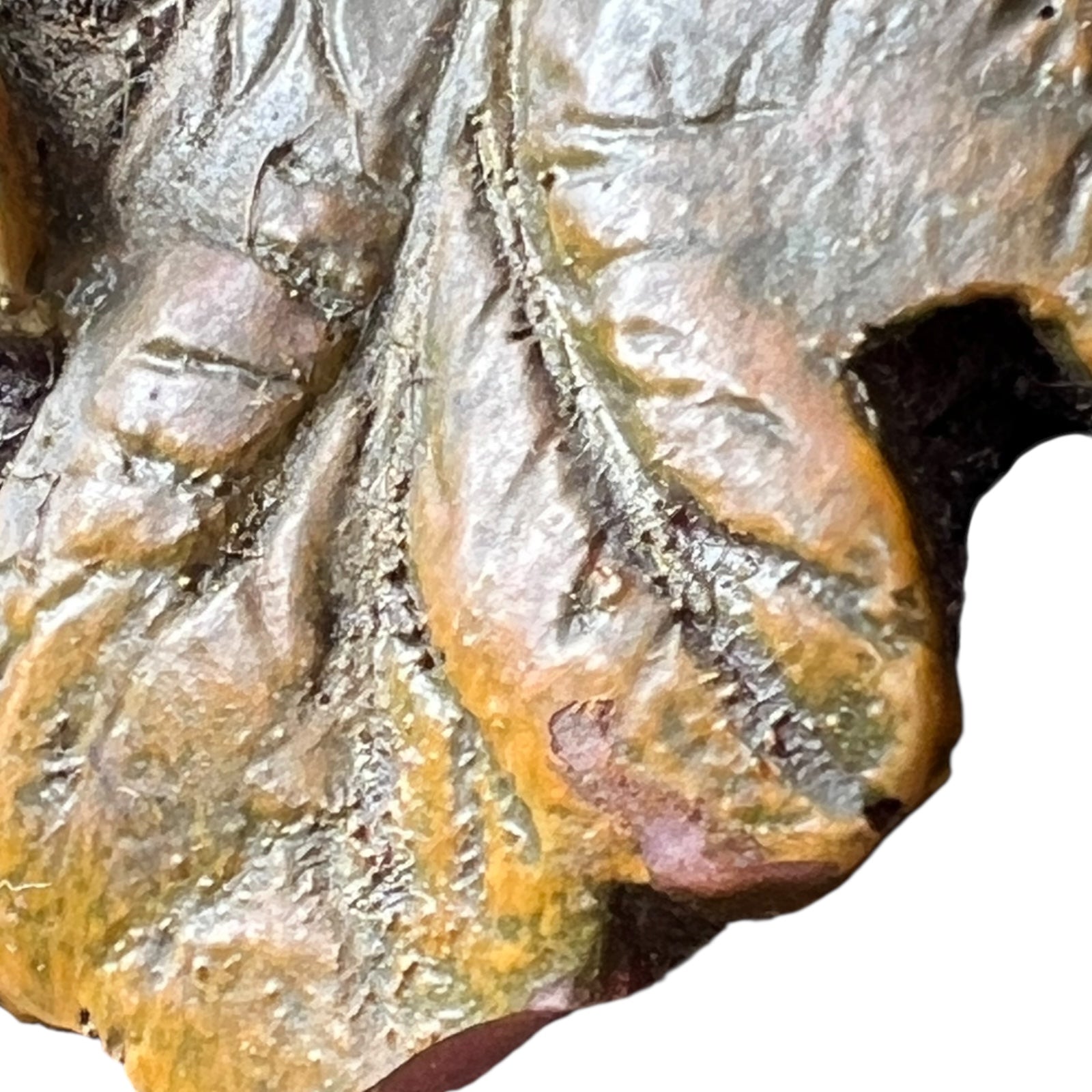 close up detail of rim of clock