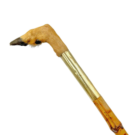 French vintage deer hoof handle bamboo walking cane stick for sale from All Things French Store