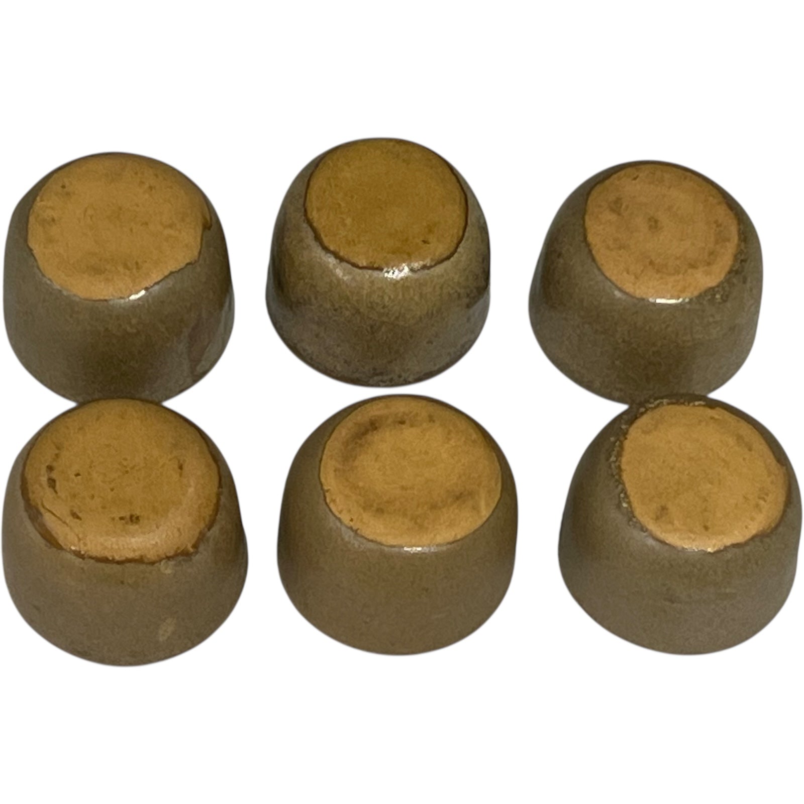 bases of snail cups