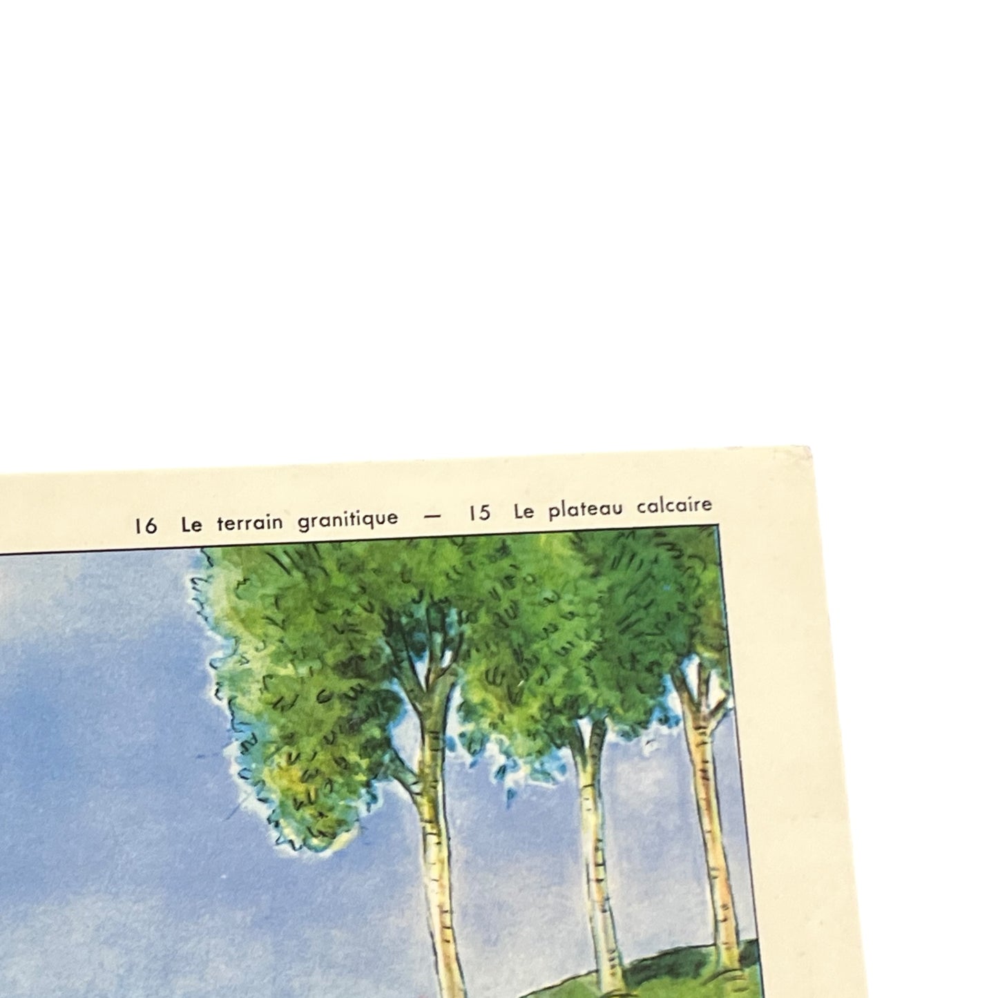 detail of French school poster