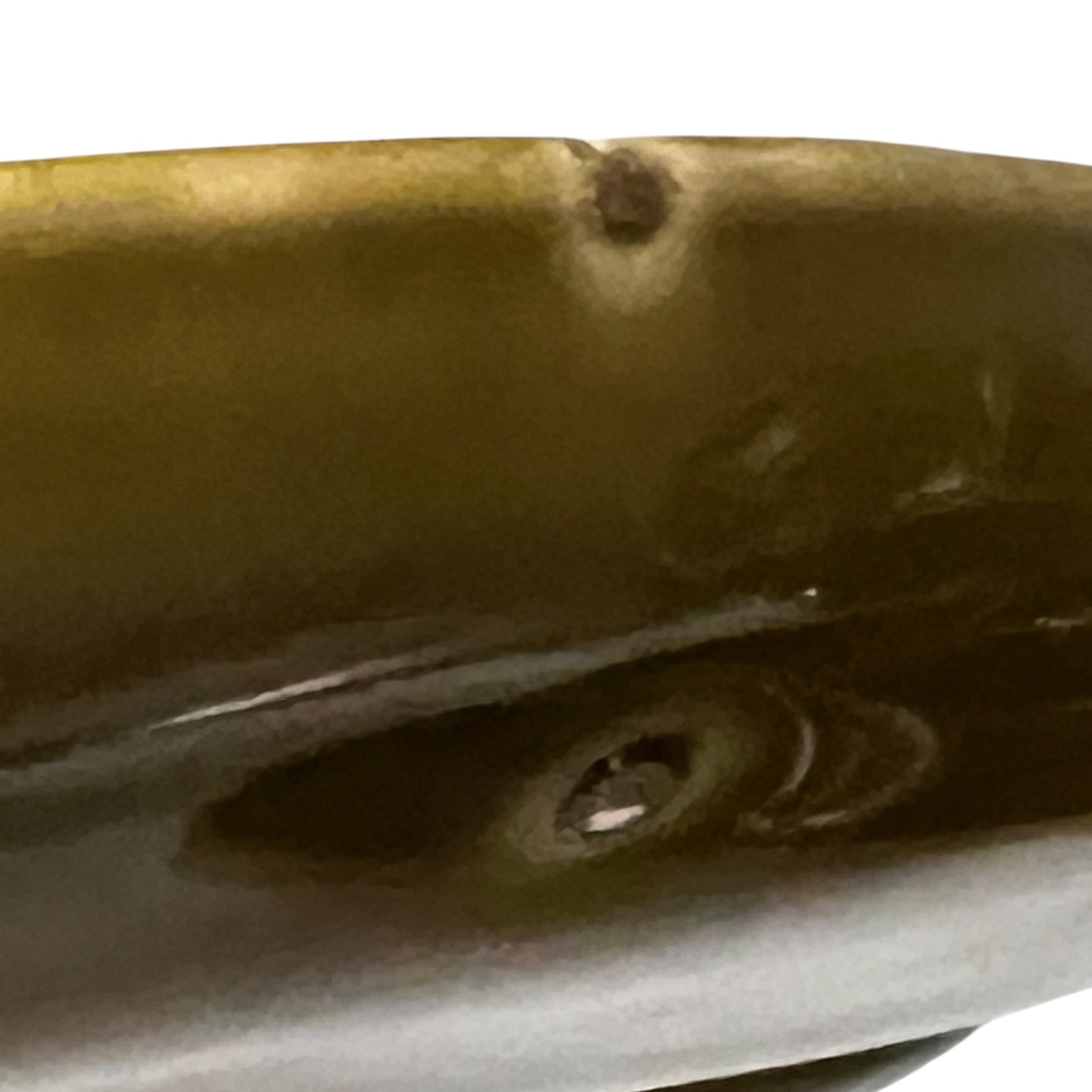 detail view on fondue plates