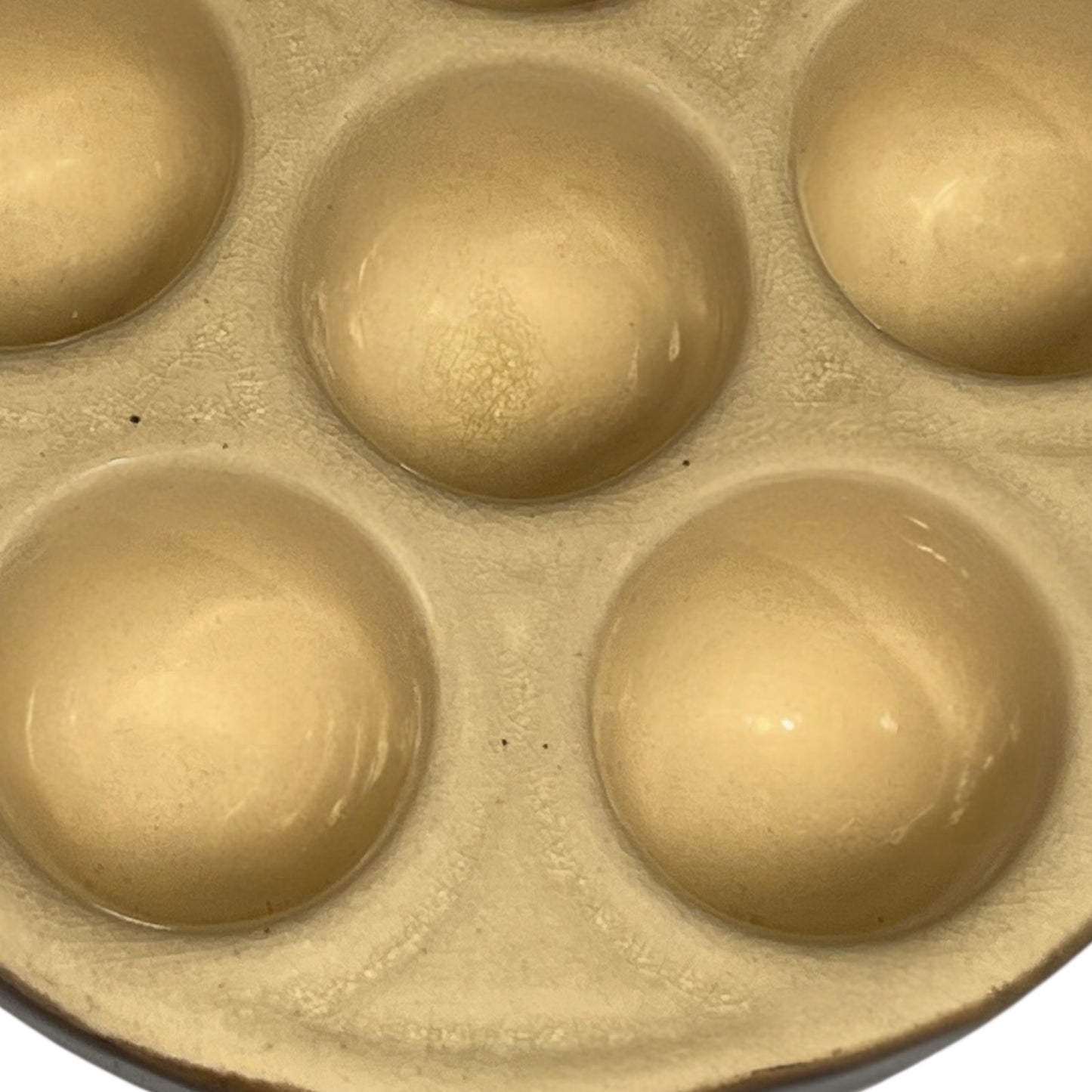 close up of French snail dish
