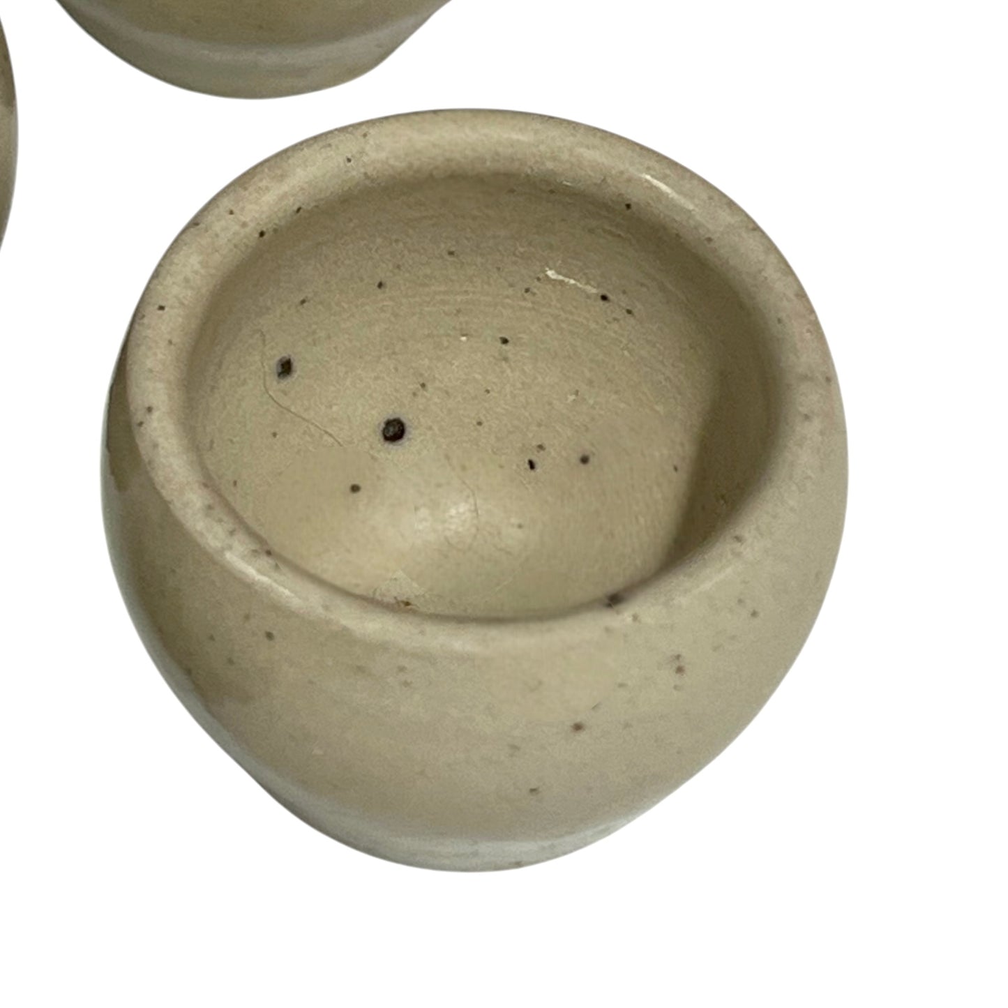 snail cups