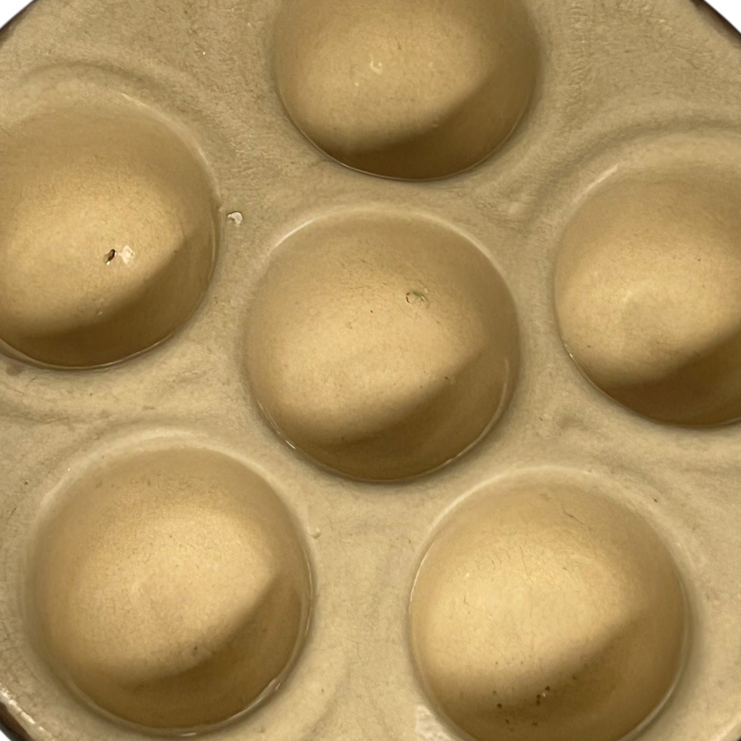 close up detail of French snail dish