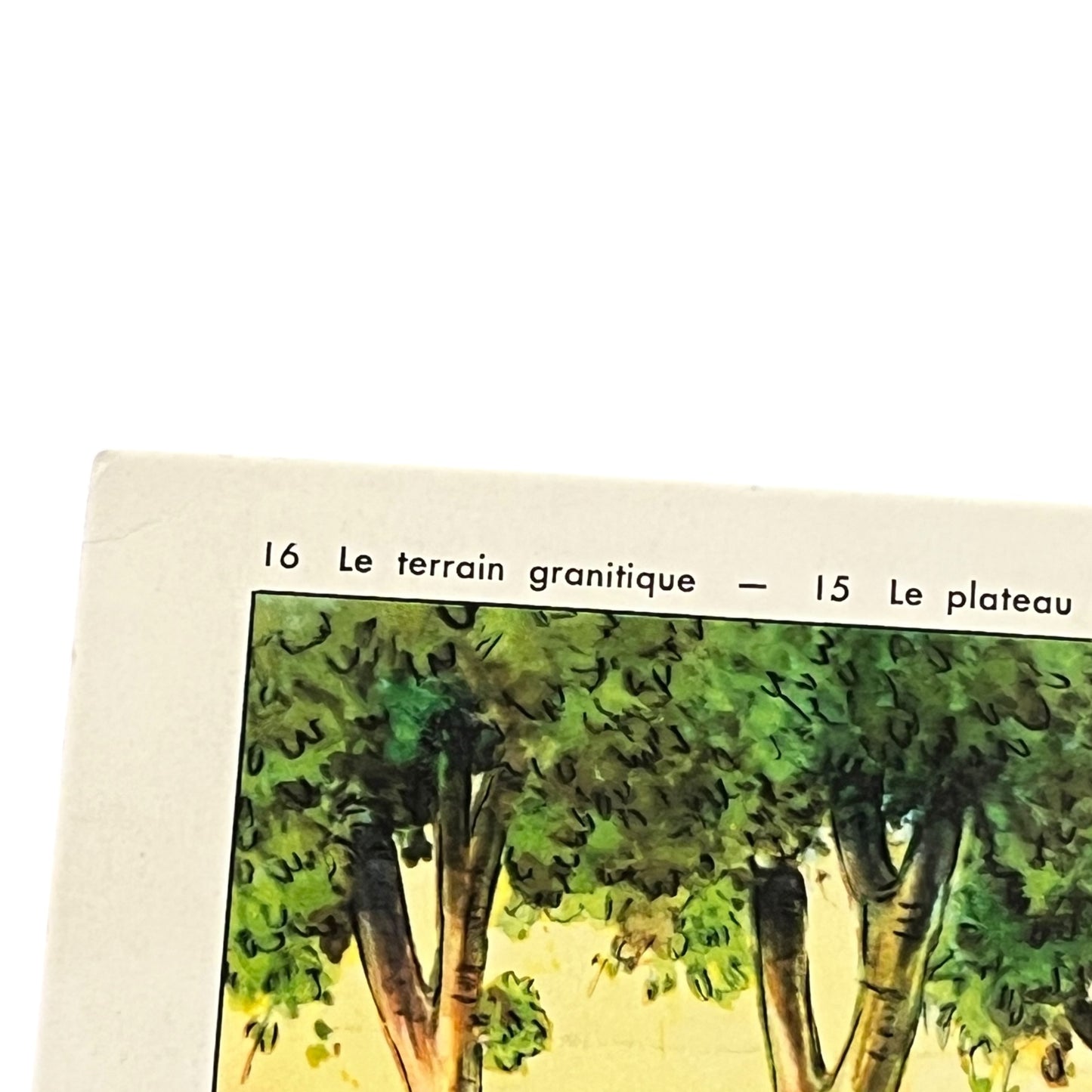 close up of French school poster