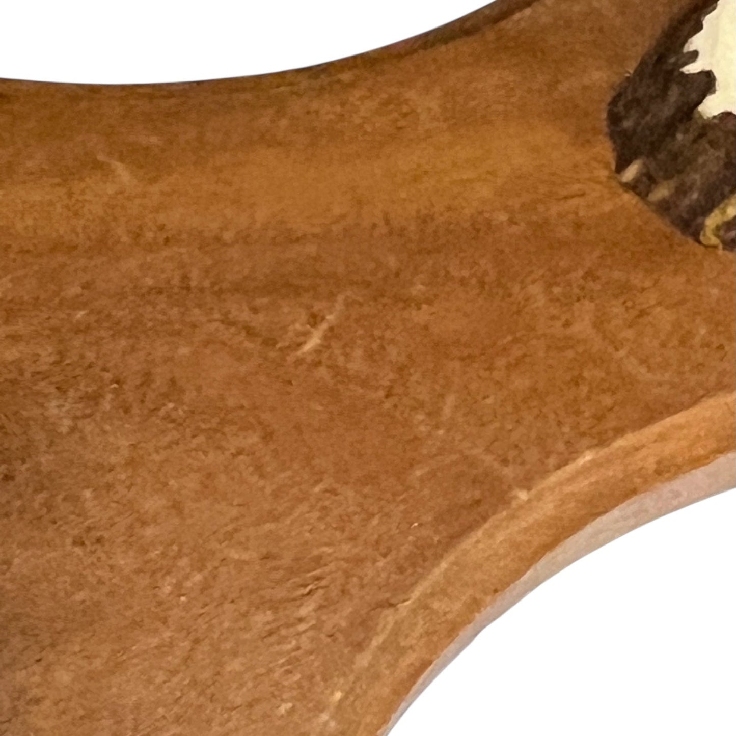 Close-up of a deer's hoof set of coat hooks on a white background