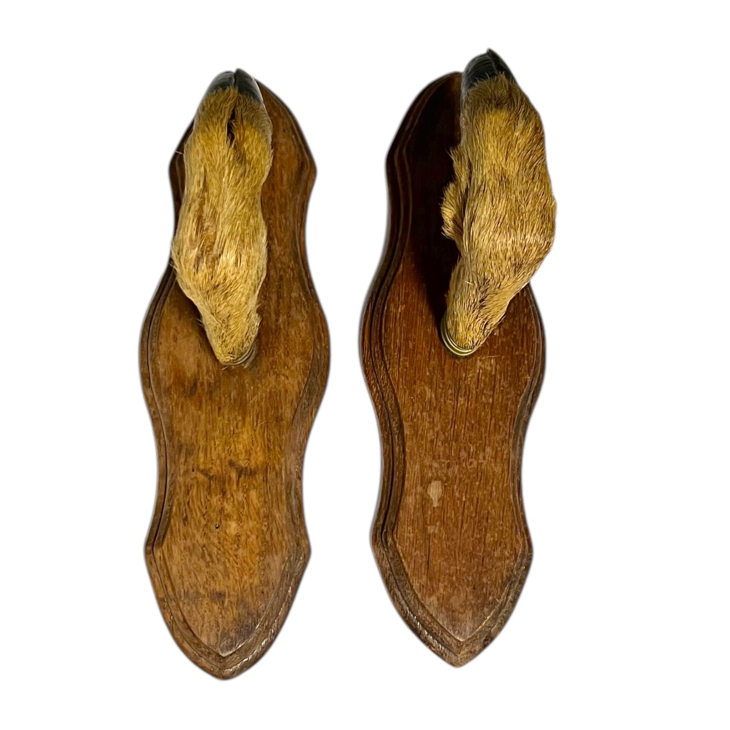 Pair of French vintage taxidermy deer hooves on wooden mounts set on a white background