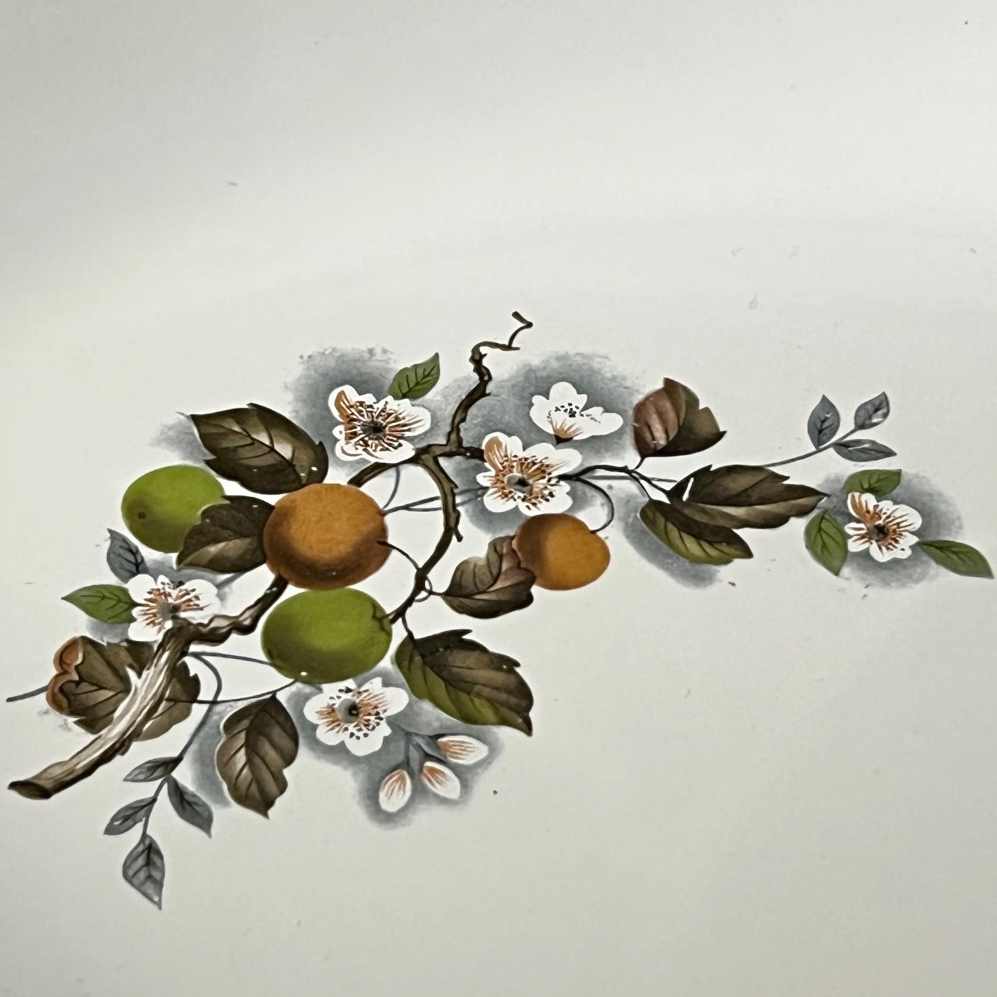 close up of pattern on white enamel dish with floral design on a white background