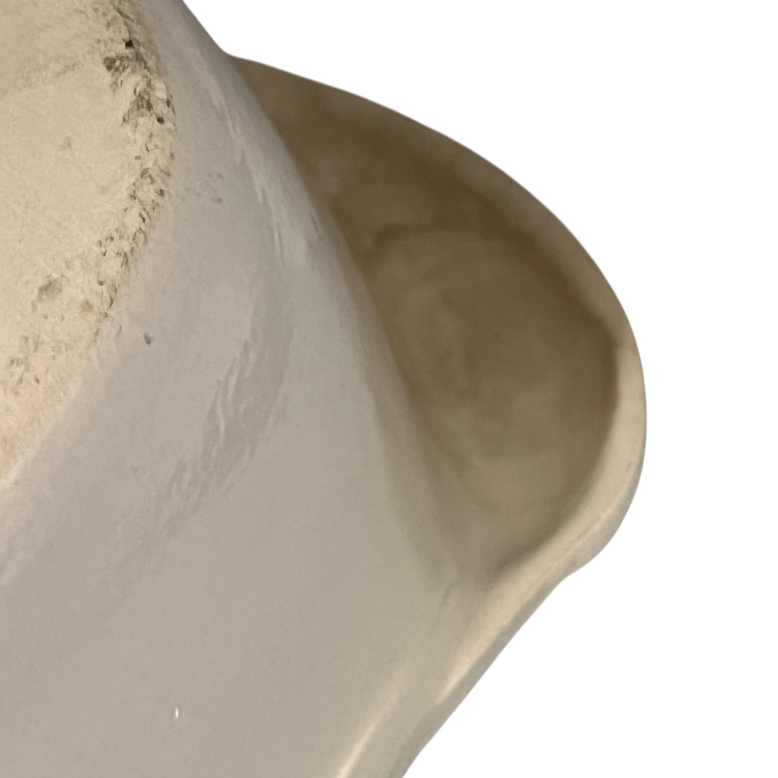 close up of goose dish base