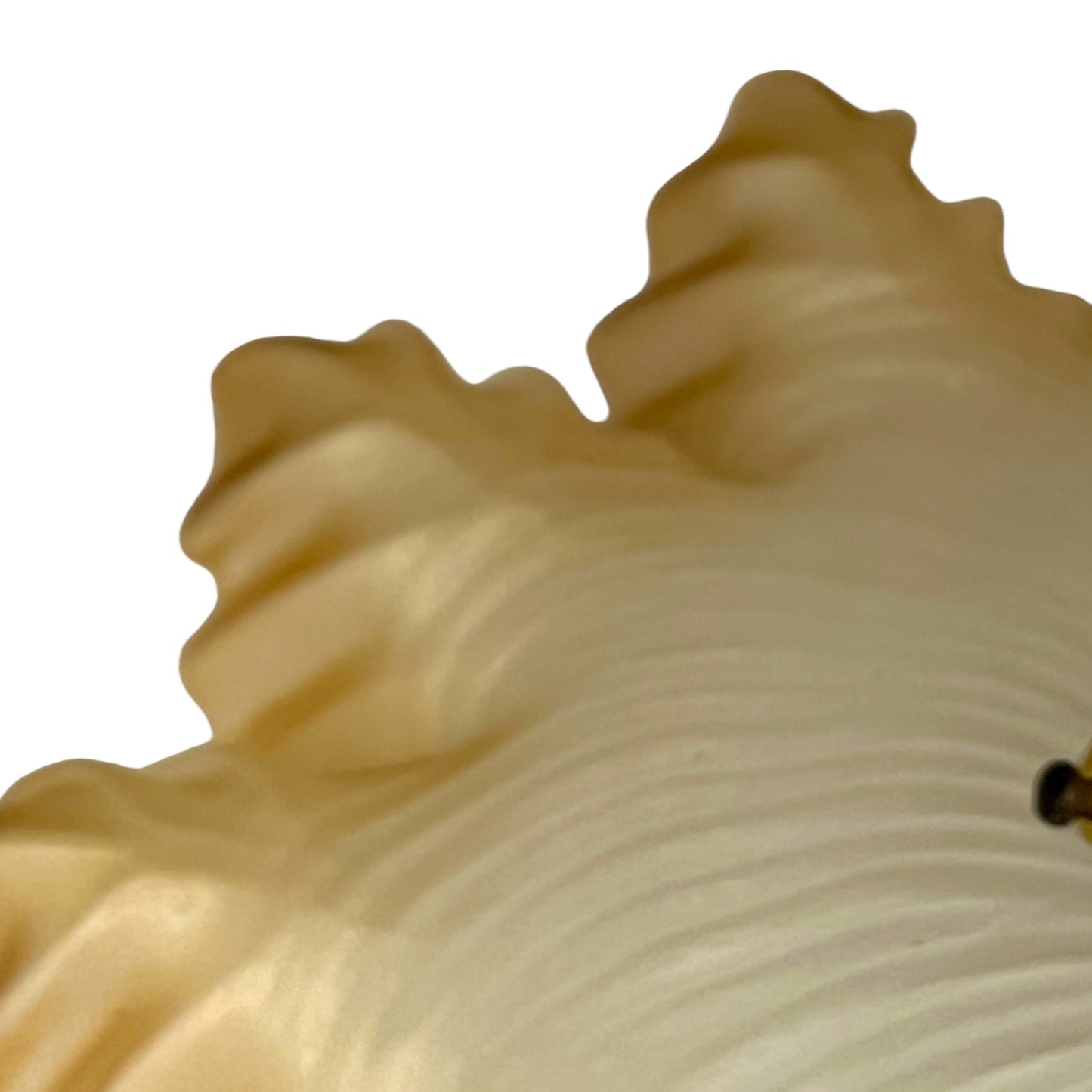 Vintage French Frosted Glass Ceiling Pendant Light, Hanging Lampshade with an amber coloured trim