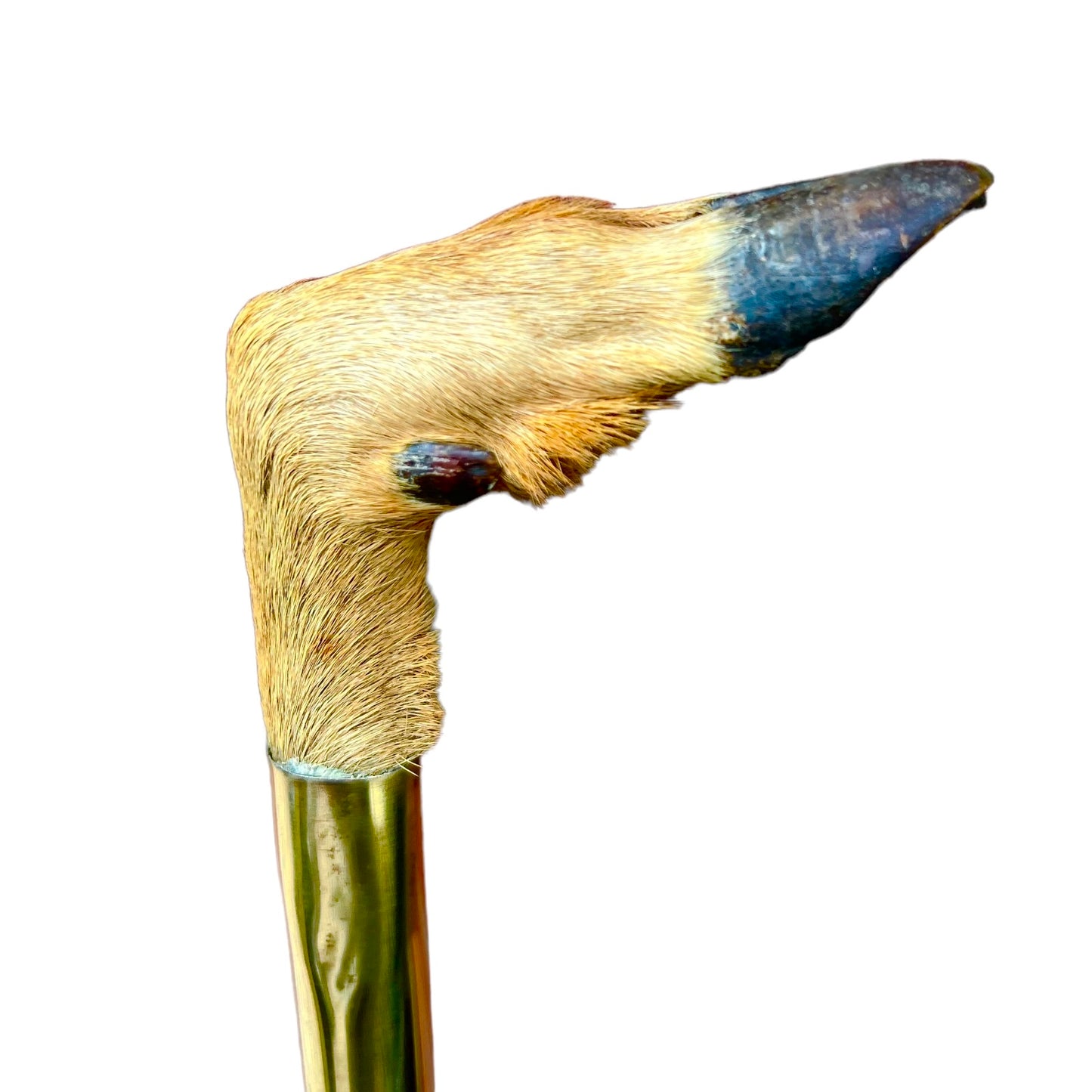 French vintage deer hoof handle bamboo walking cane stick