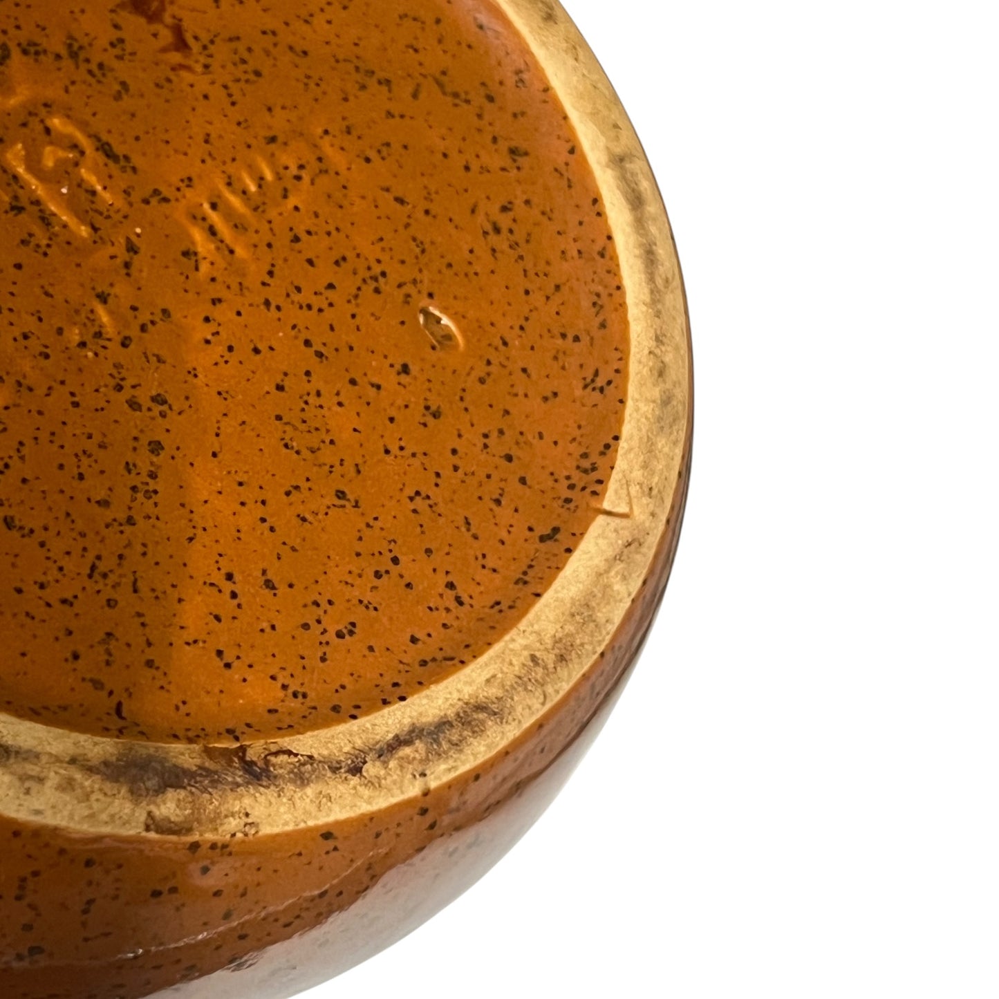 Close up of a French escargot plate on a white background