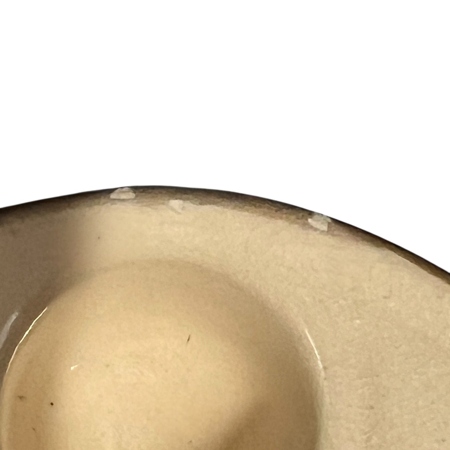 close up of French snail dish