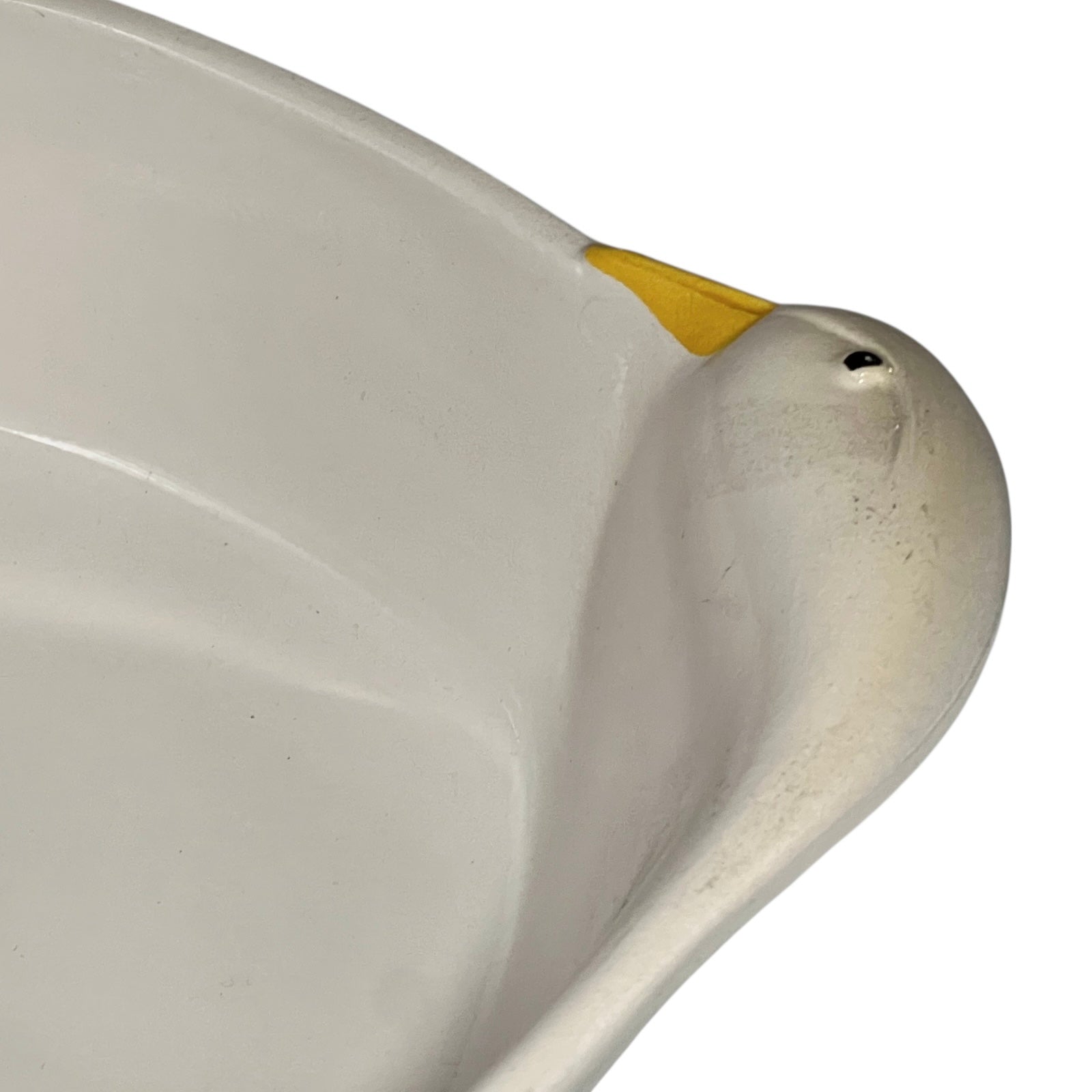 close up of goose dish