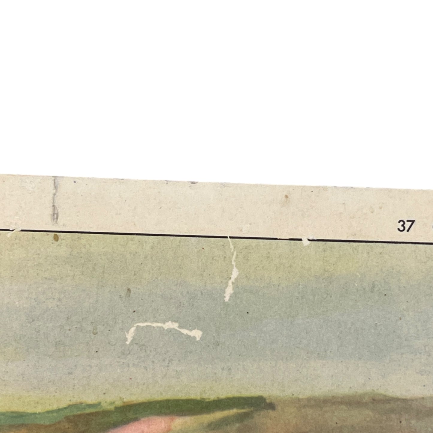 detail view of French school poster