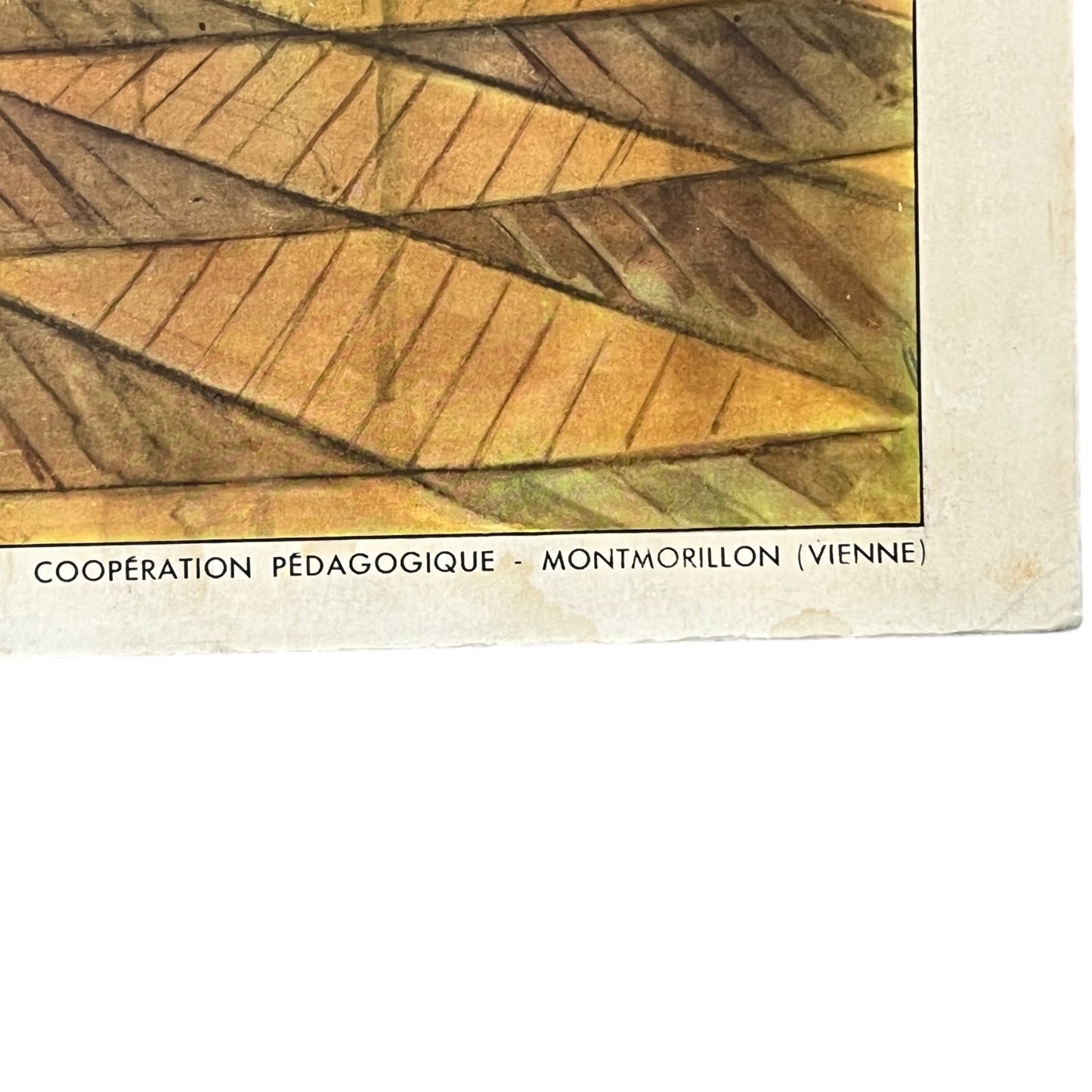 detail view of French school poster
