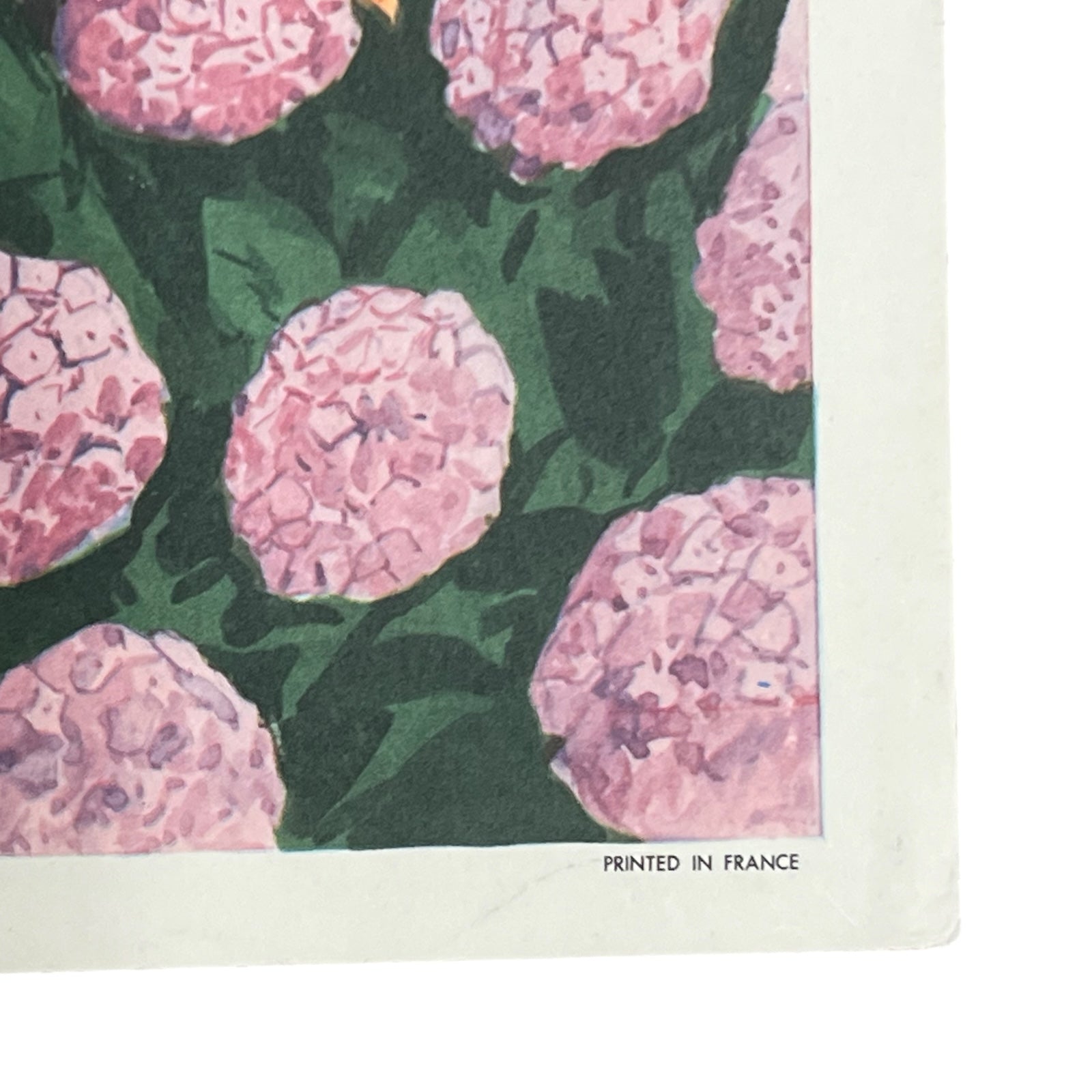 detail view of double sided school poster