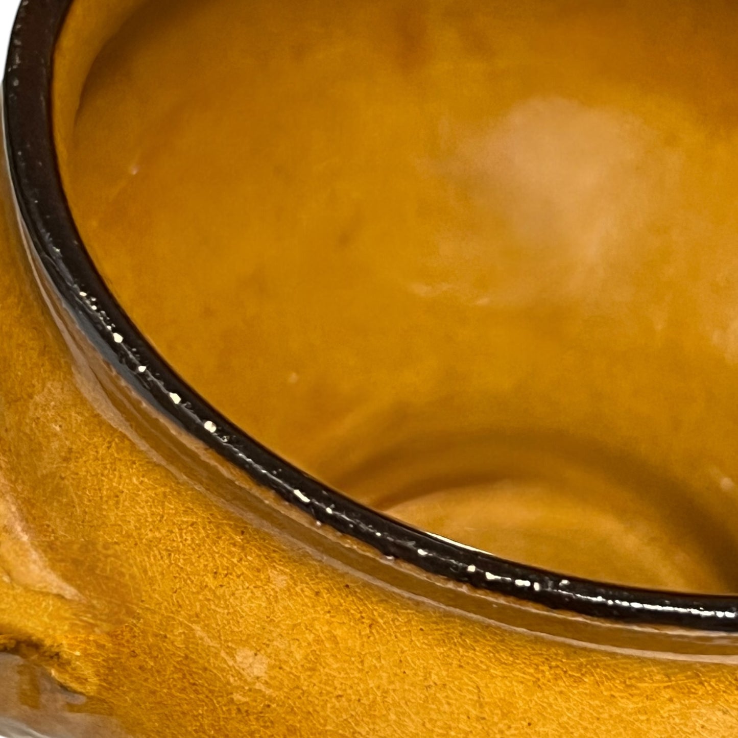 edge view of French onion soup bowl