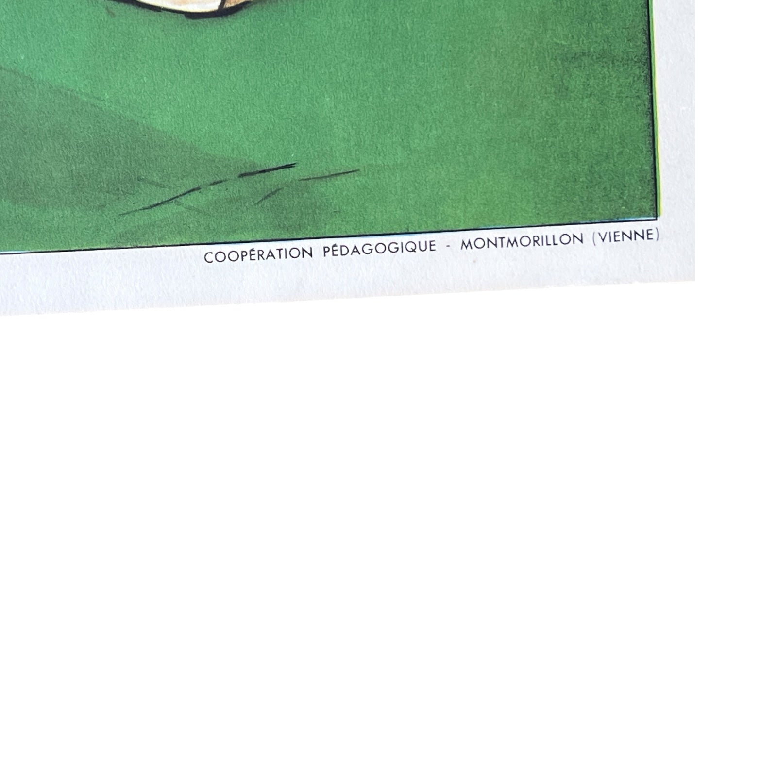 corner view of French poster