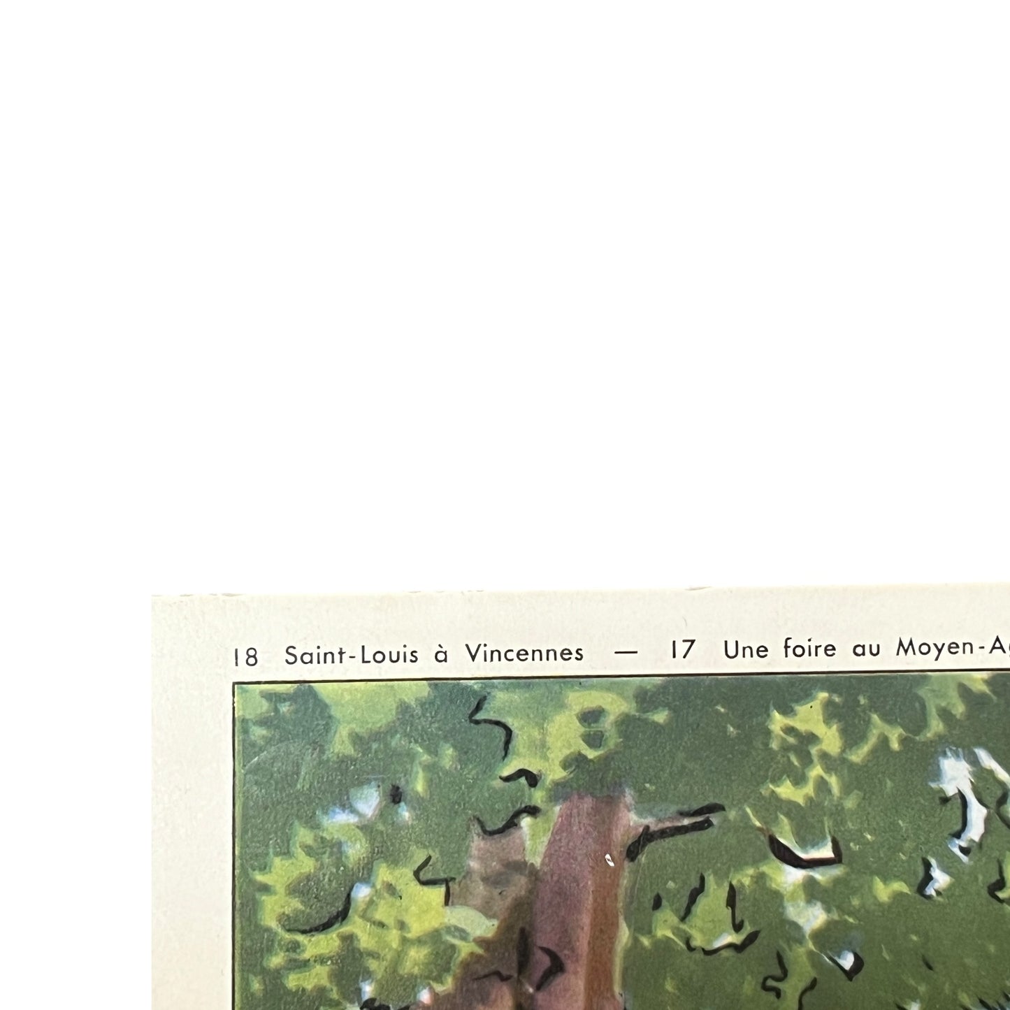 close up of French school poster